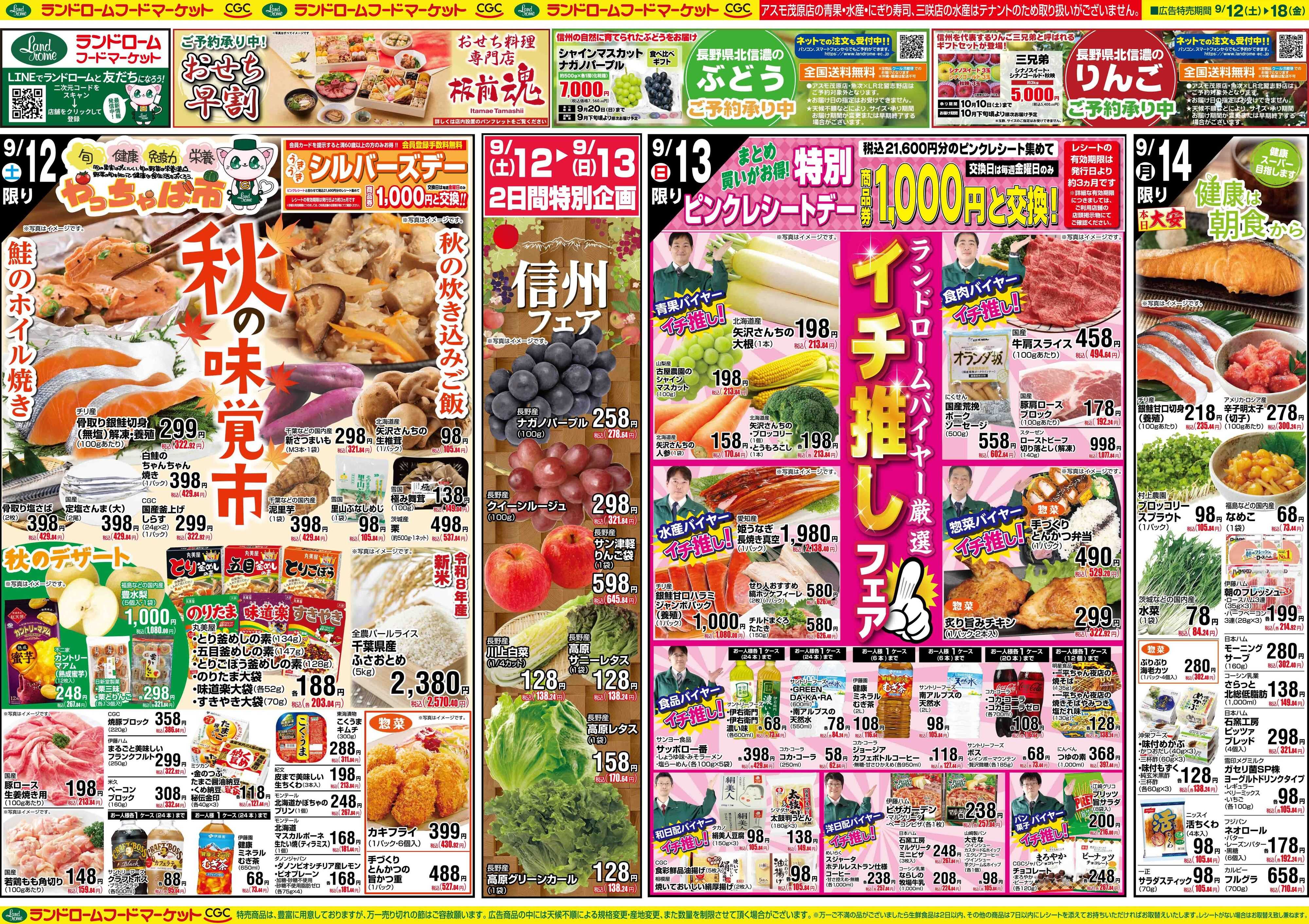 ランドローム 9/12号