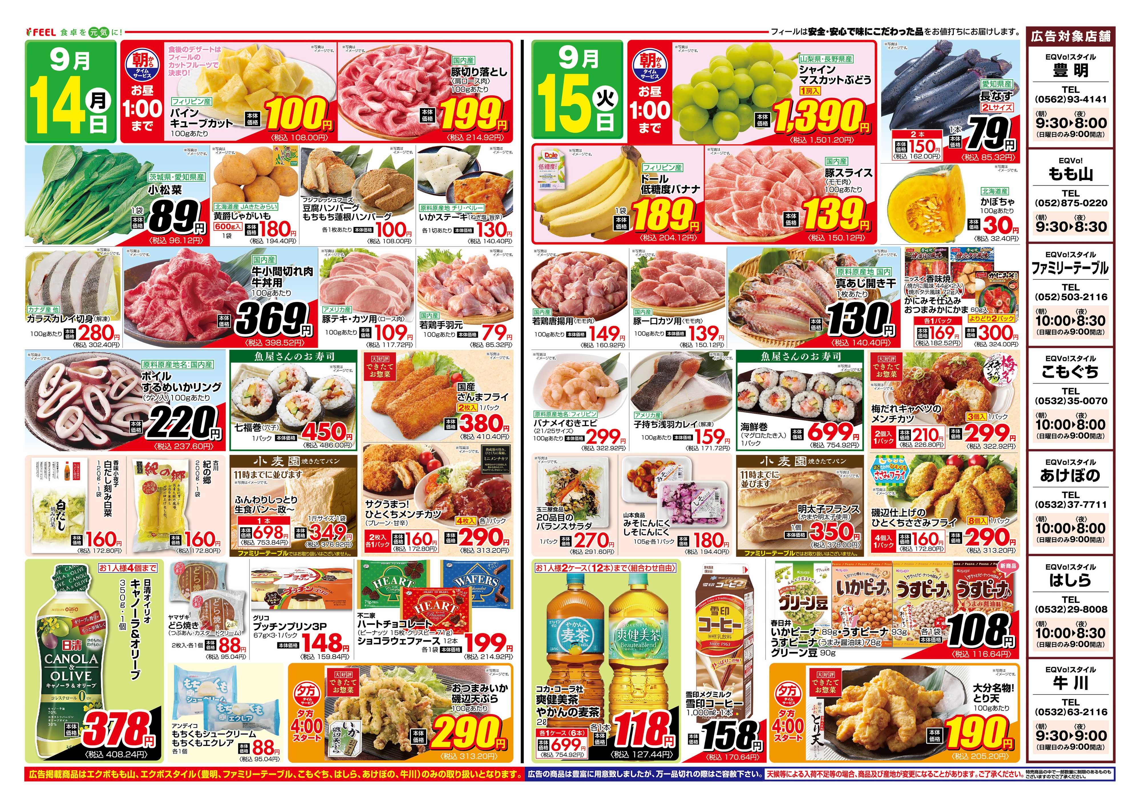 フィール 魚vs肉