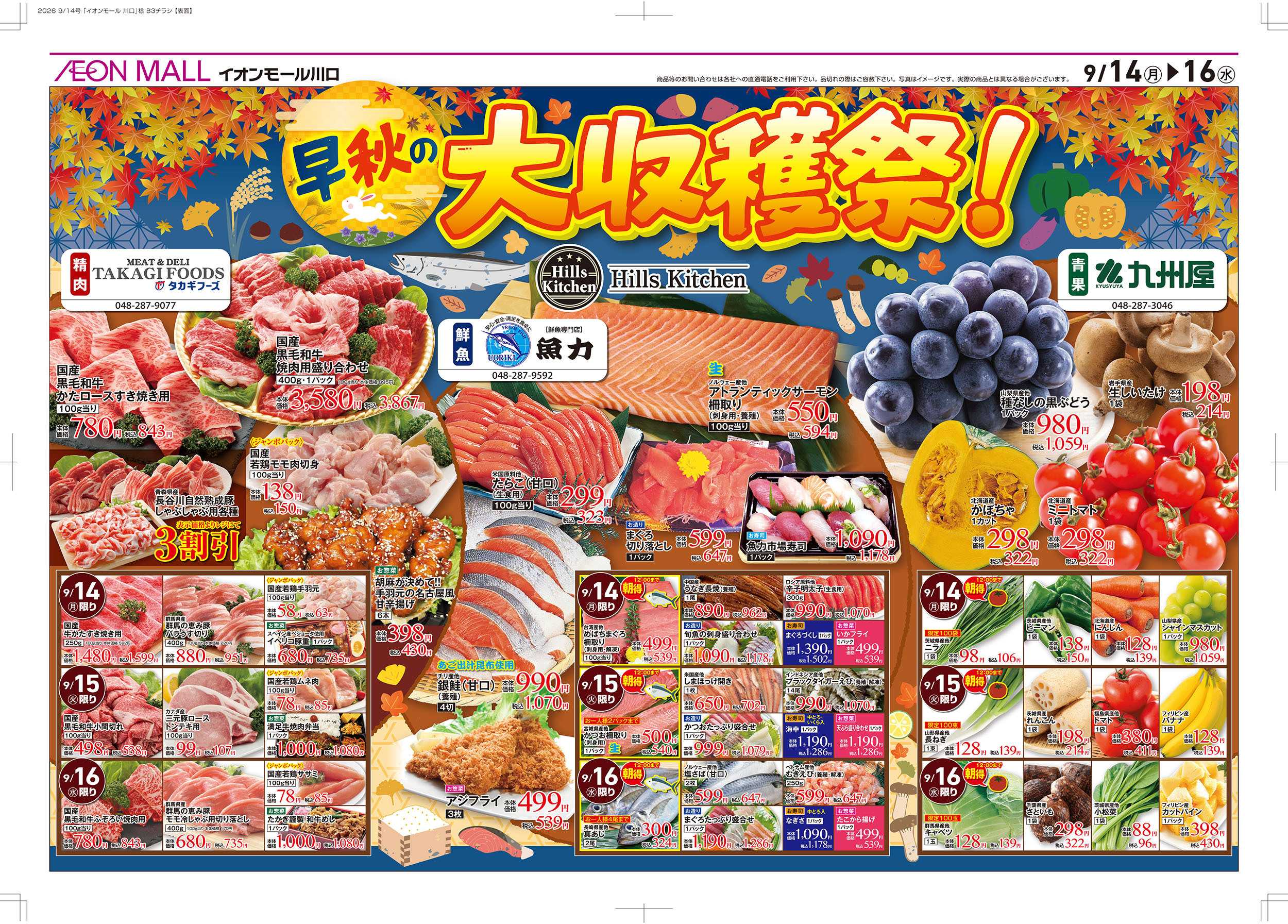 イオン 9/14号　イオンの超！トクイチ：裏面
