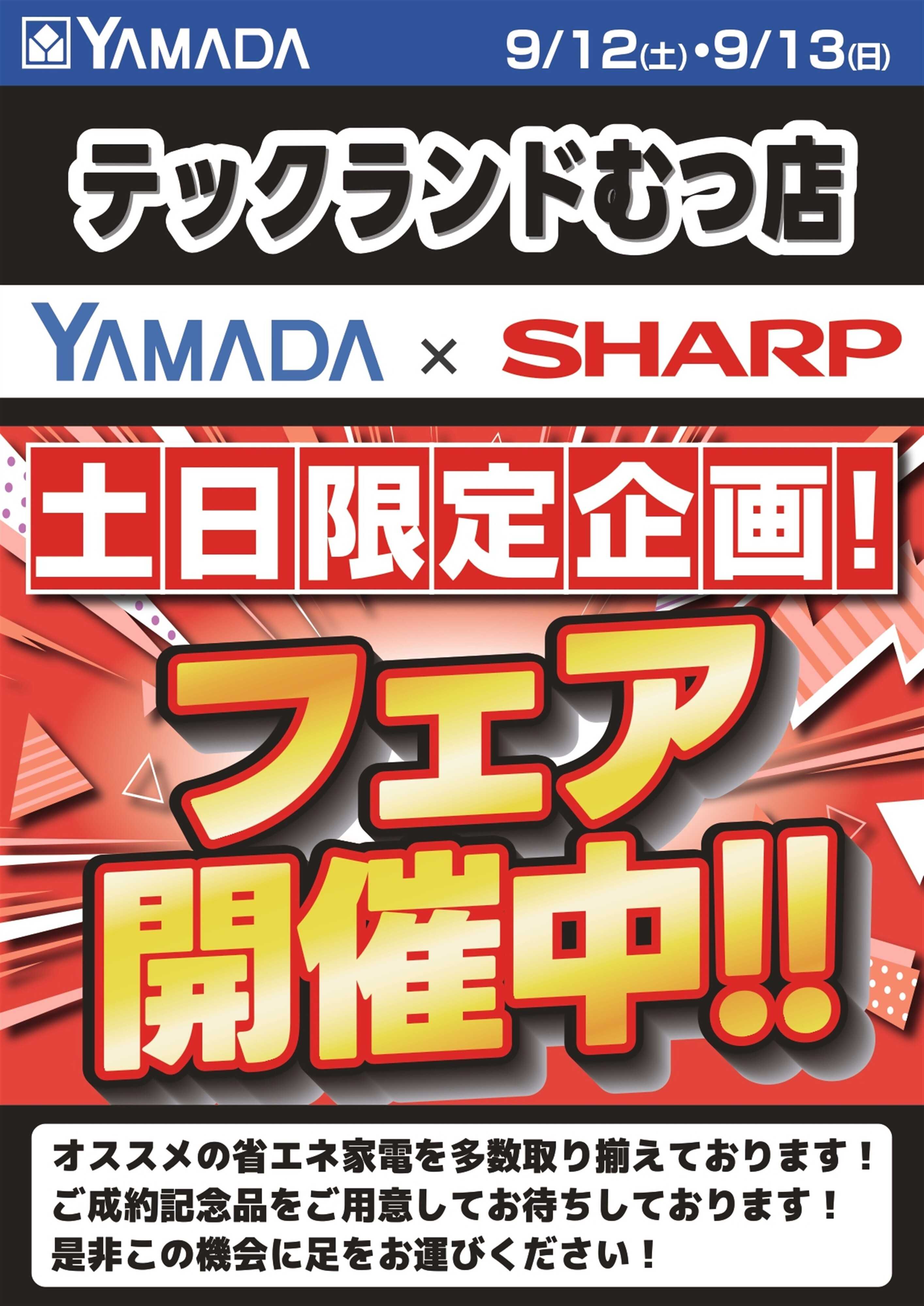 ヤマダデンキ 土日限定企画！