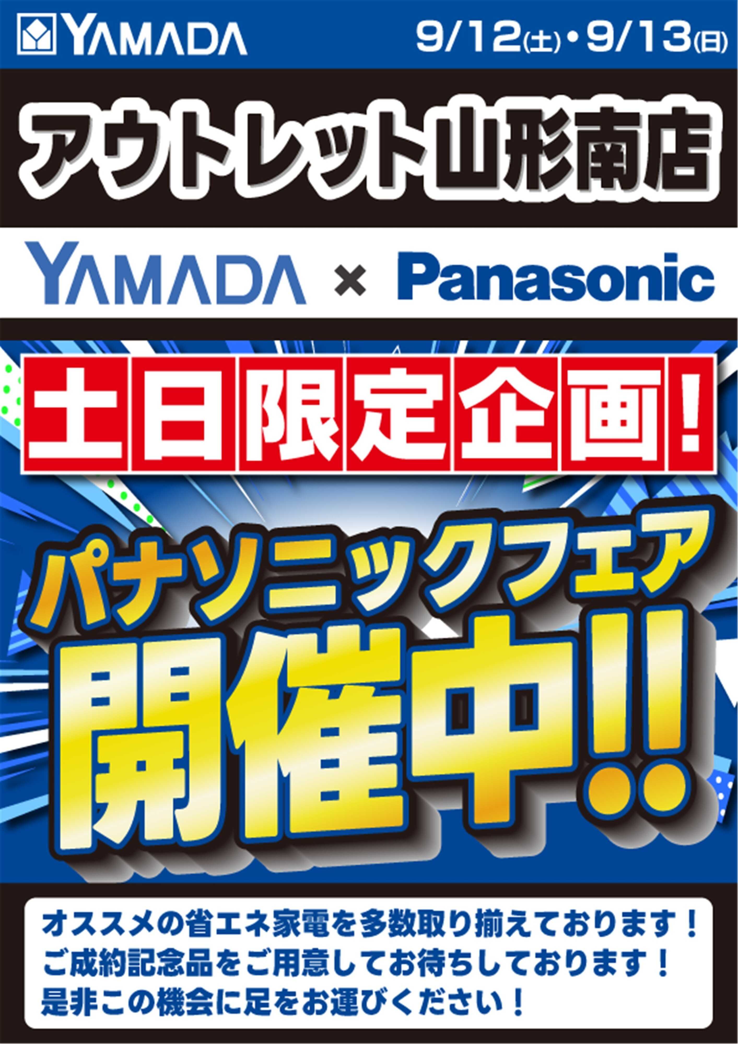 ヤマダデンキ 土日限定企画！