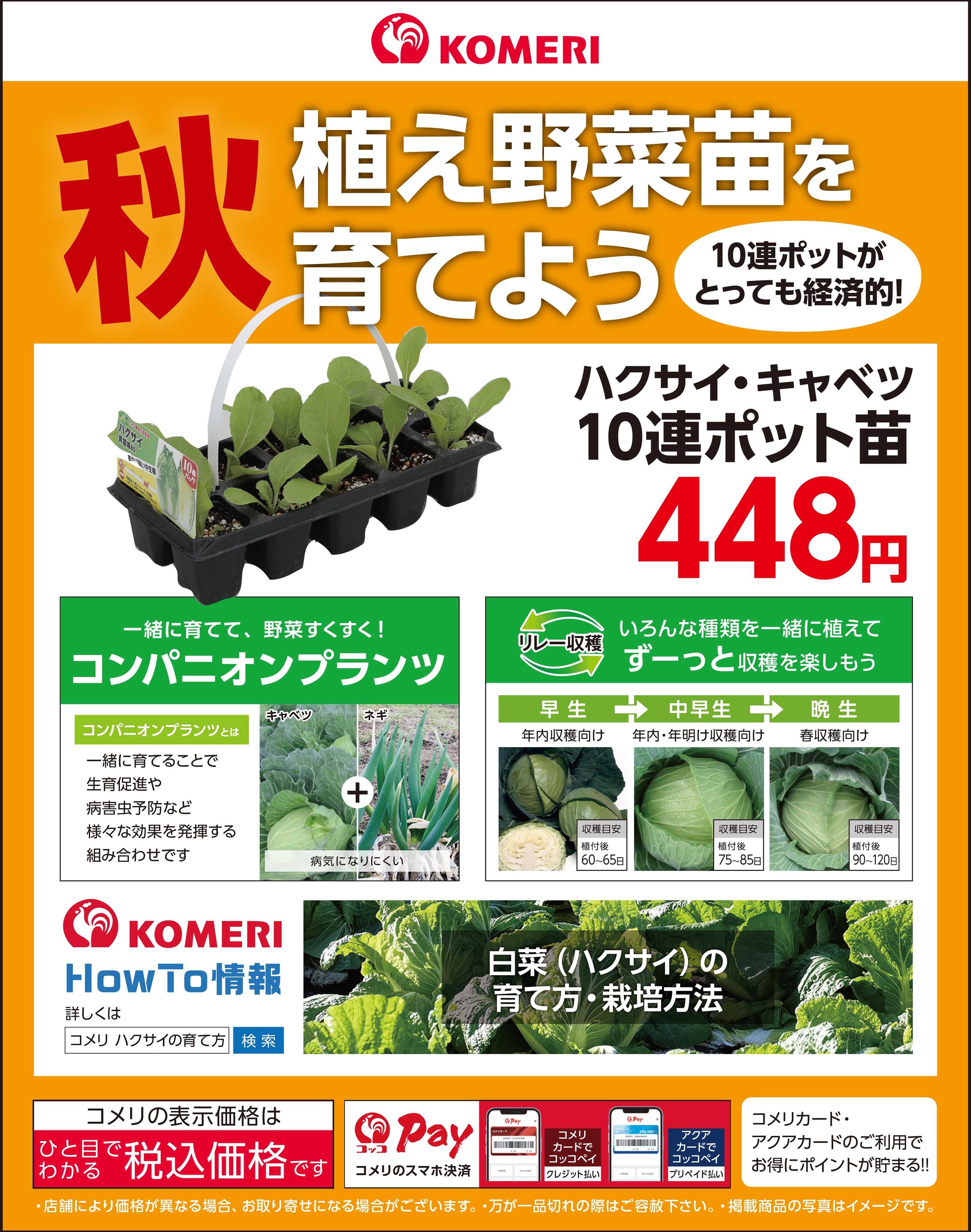 コメリハード＆グリーン 秋植え野菜苗を育てよう