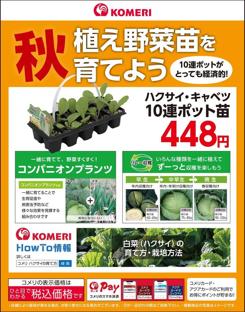 コメリハード＆グリーン 三角店の最新チラシ・セール情報 | クラシルチラシ