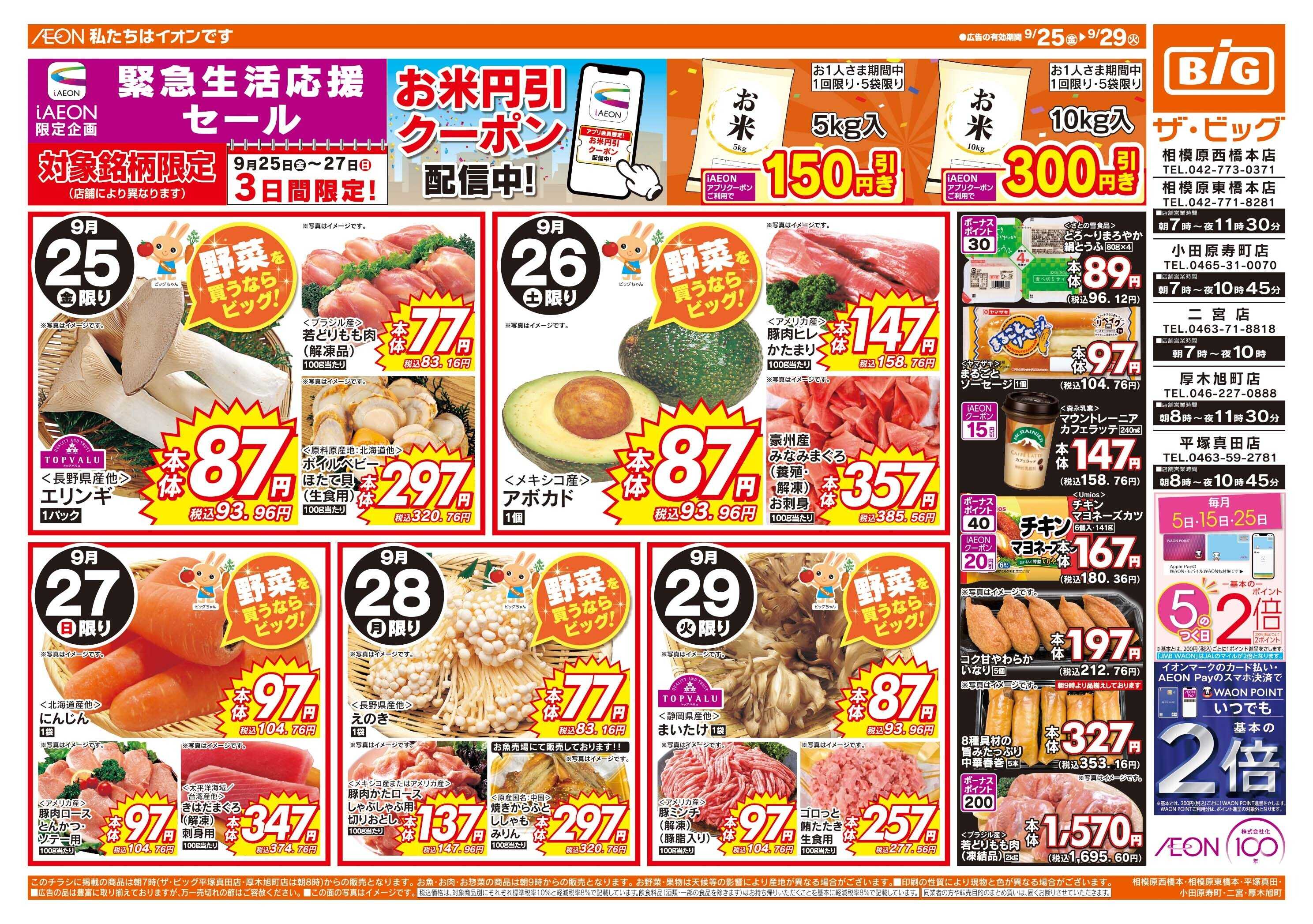 ザ・ビッグ 毎月５のつく日はポイント２倍！