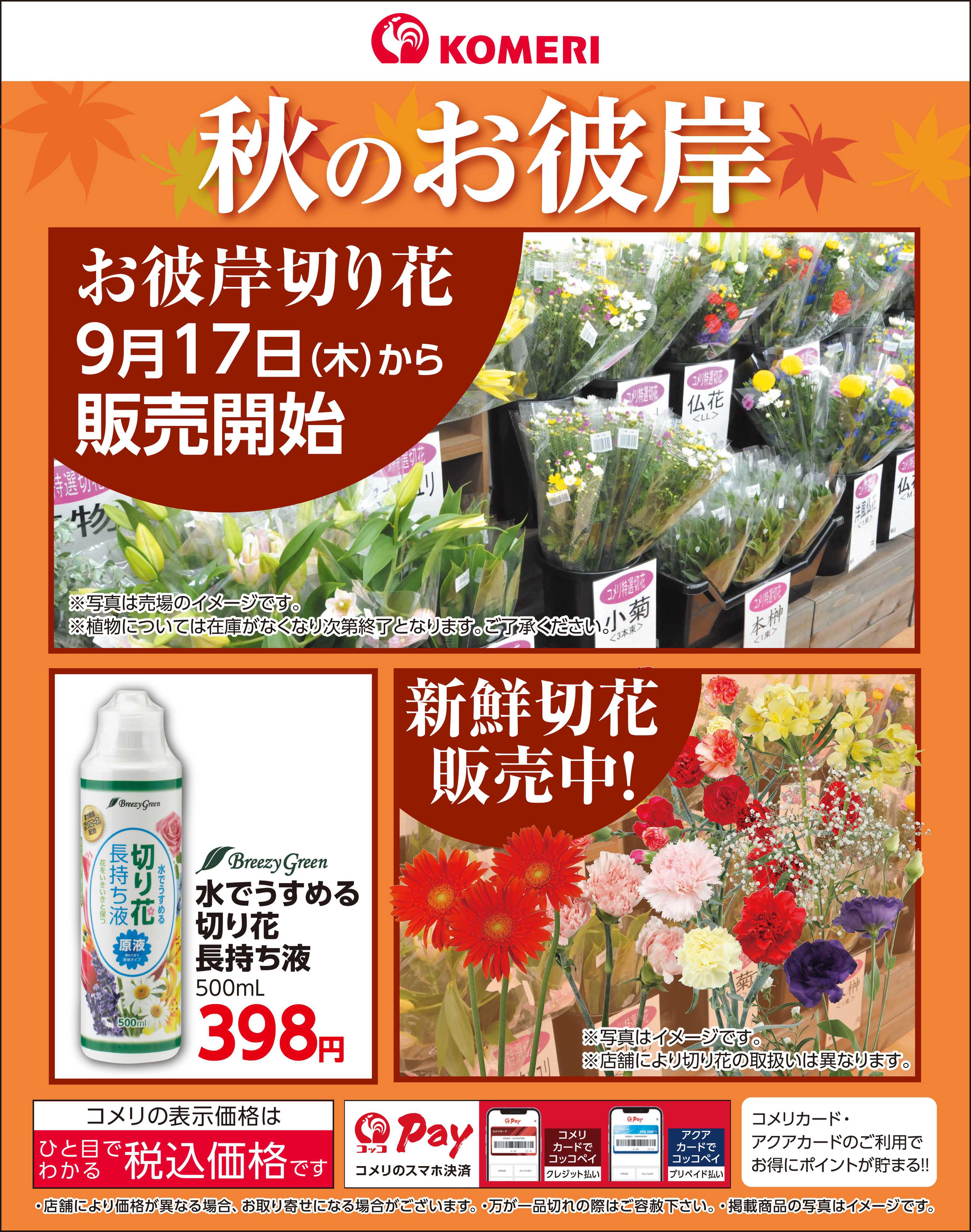 コメリハード＆グリーン  秋のお彼岸 切り花