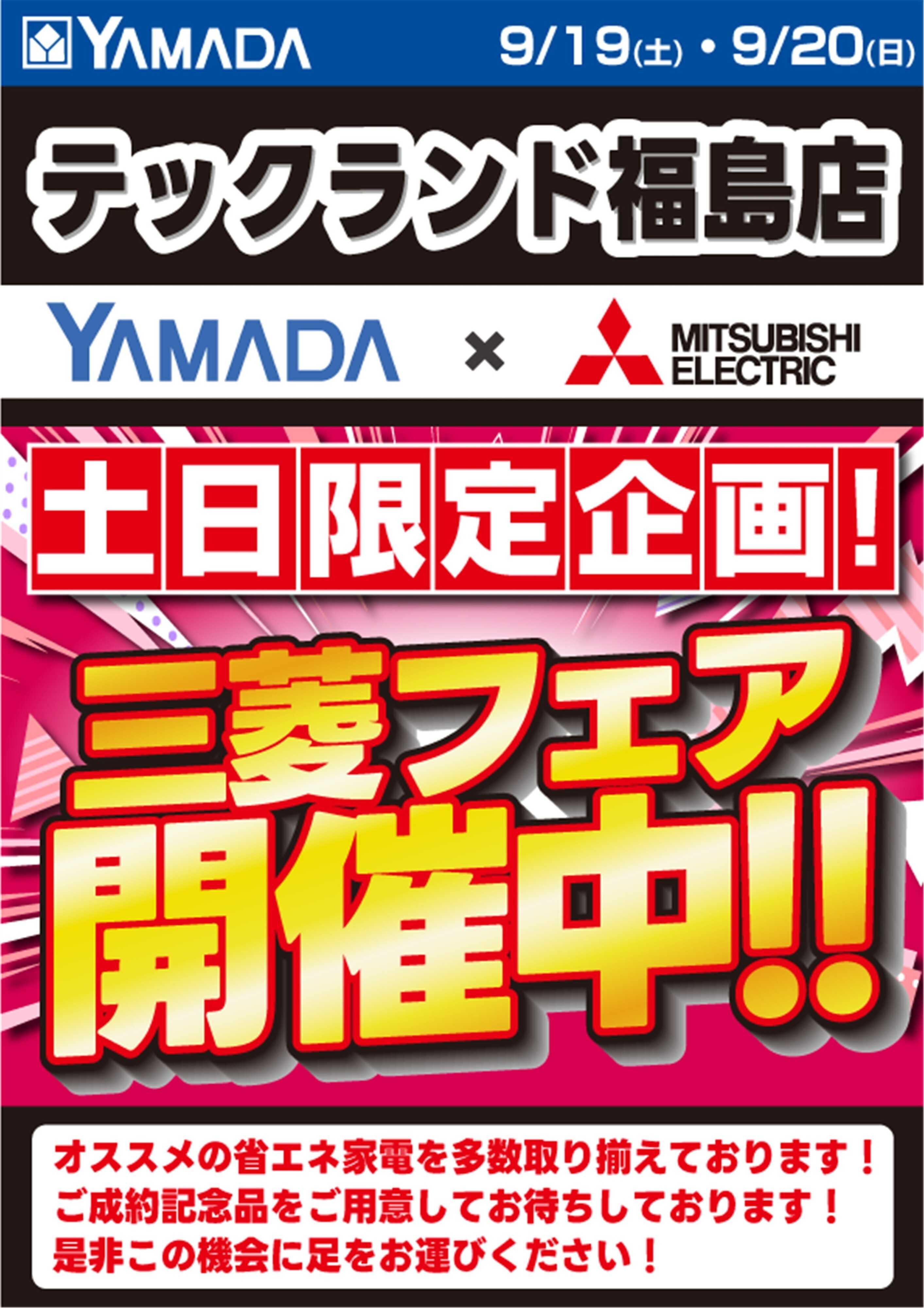 ヤマダデンキ 土日限定企画！