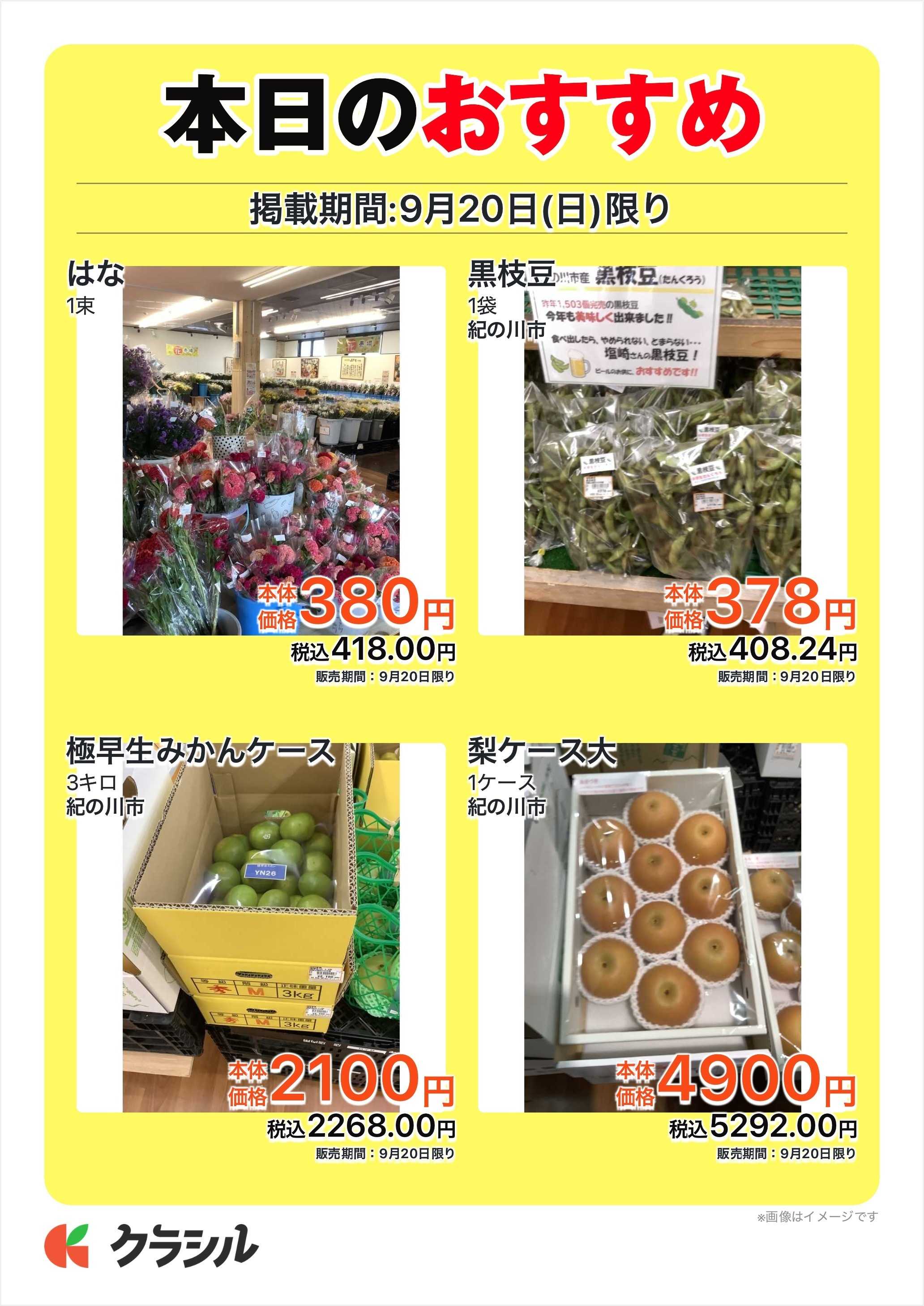 産直市場よってって 本日のおすすめ