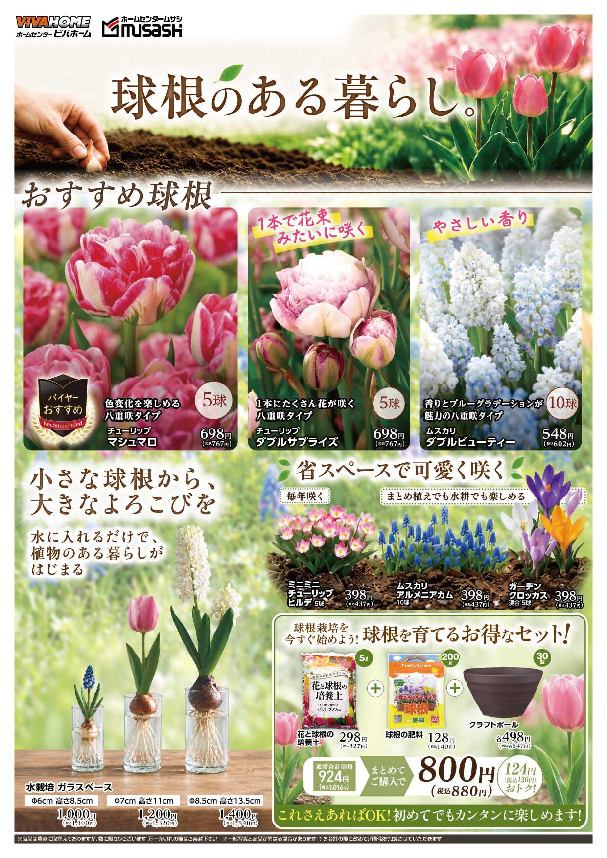 スーパービバホーム 秋植え球根