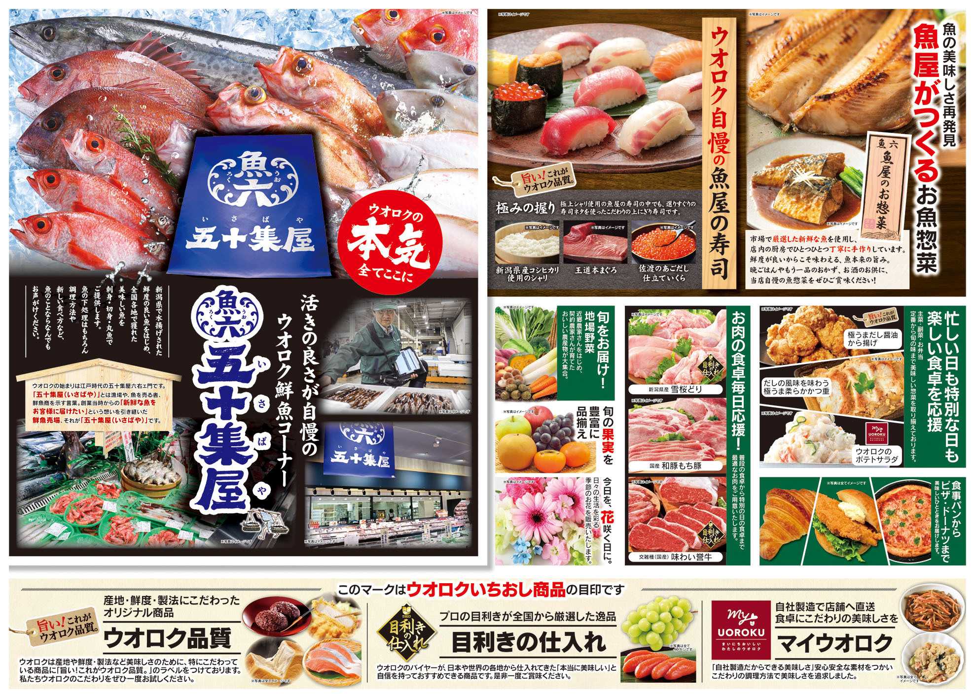 ウオロク ウオロク加茂店OPEN告知