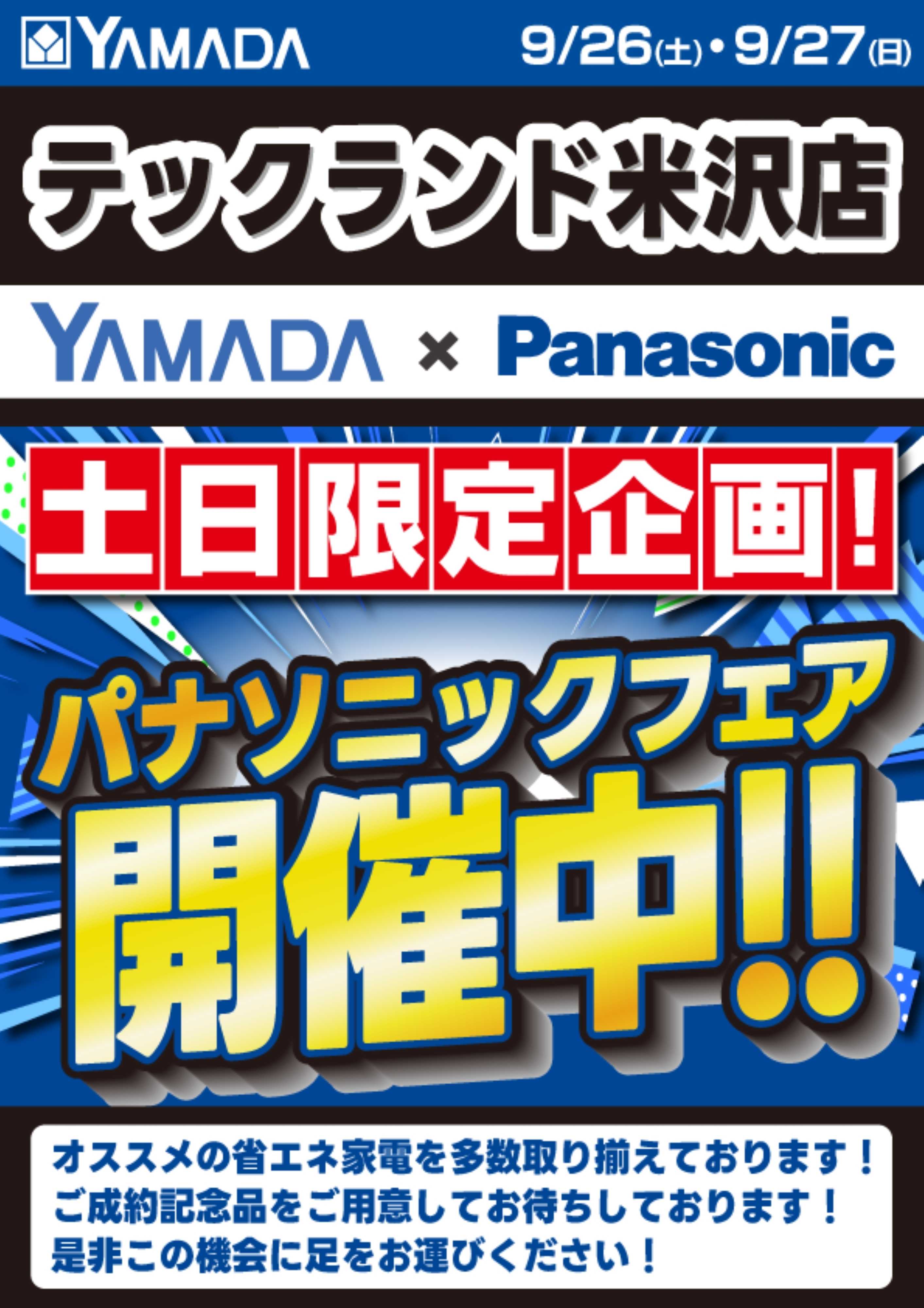 ヤマダデンキ 土日限定企画！