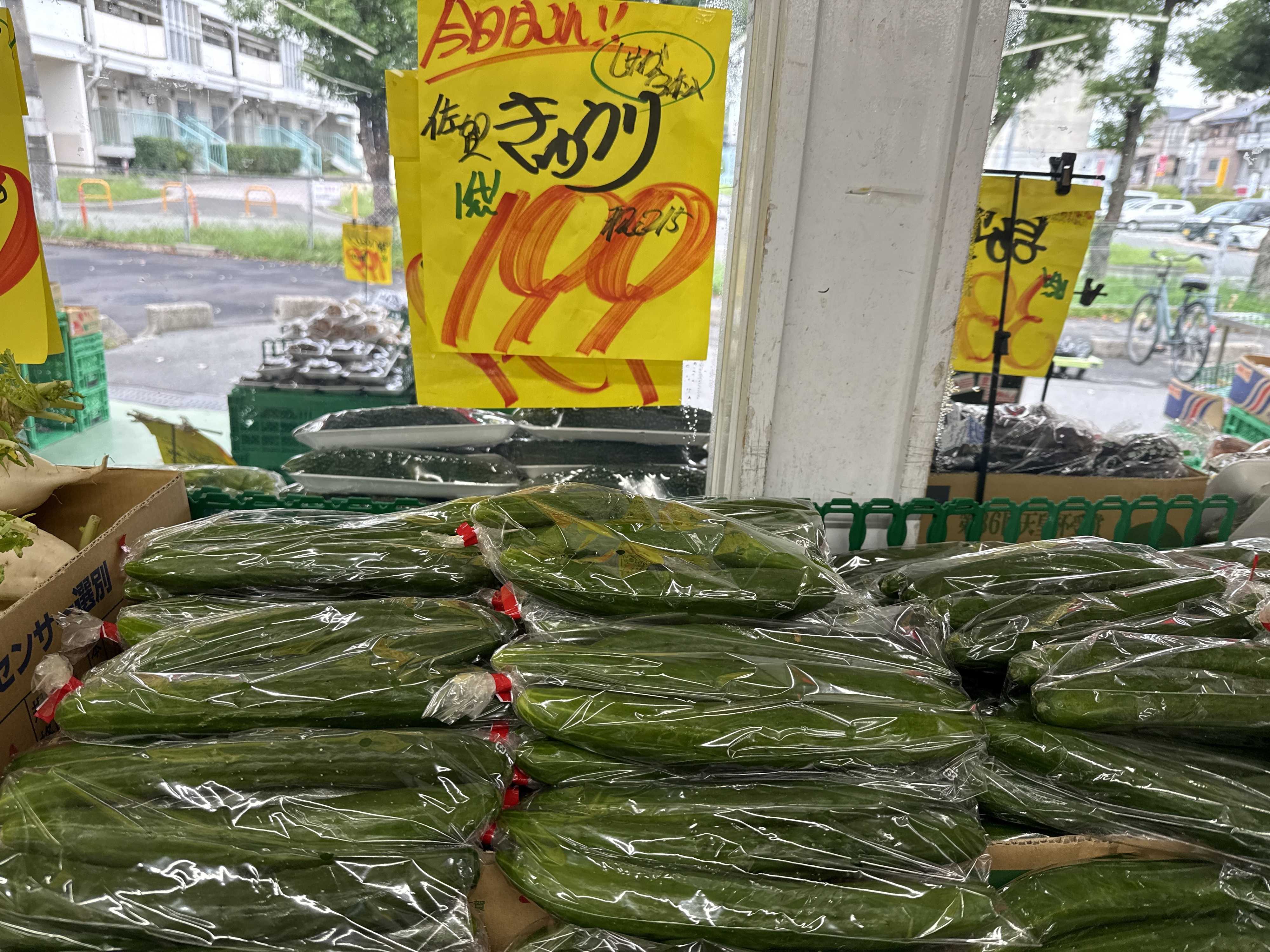 たこ一 