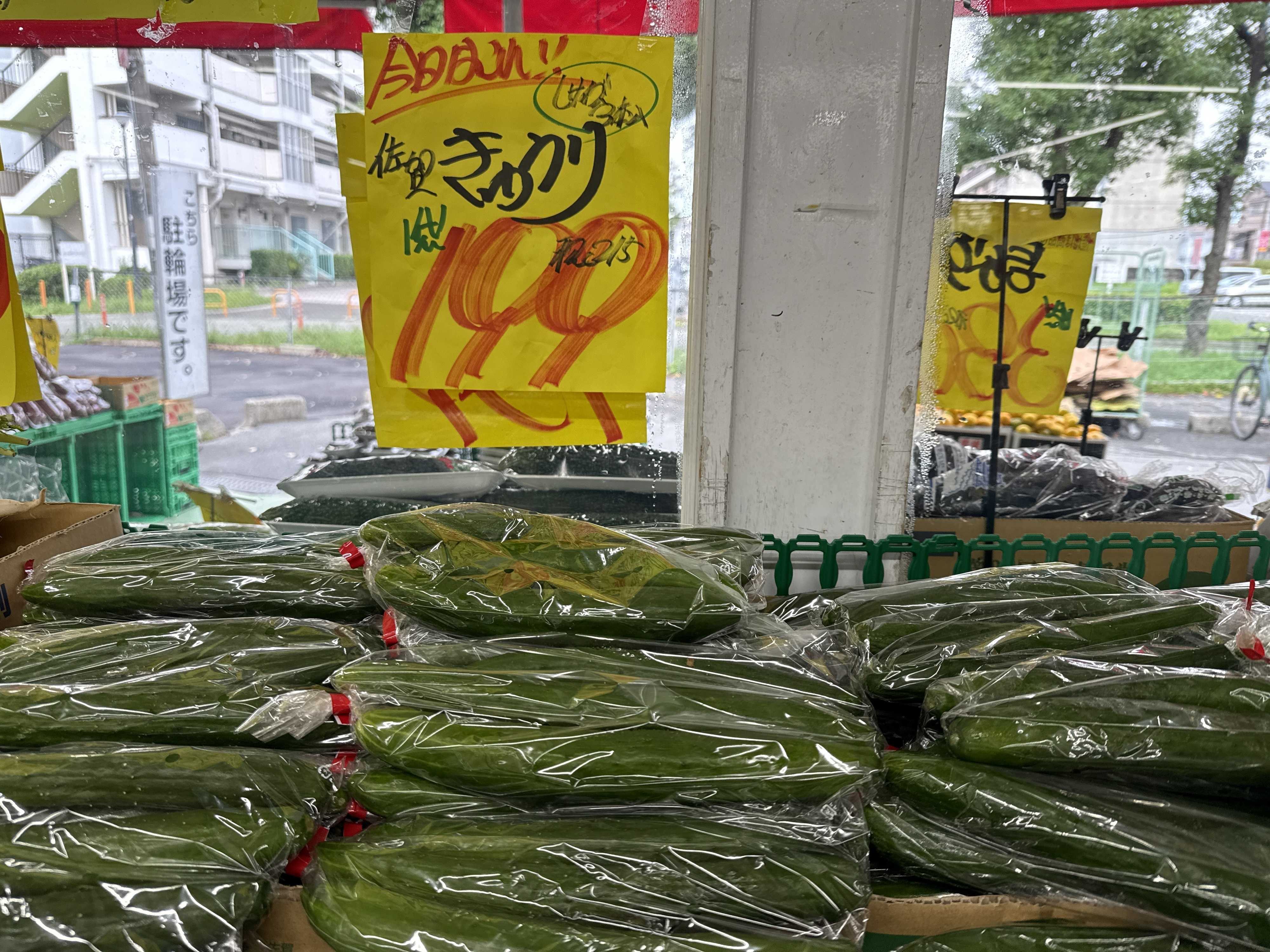 たこ一 