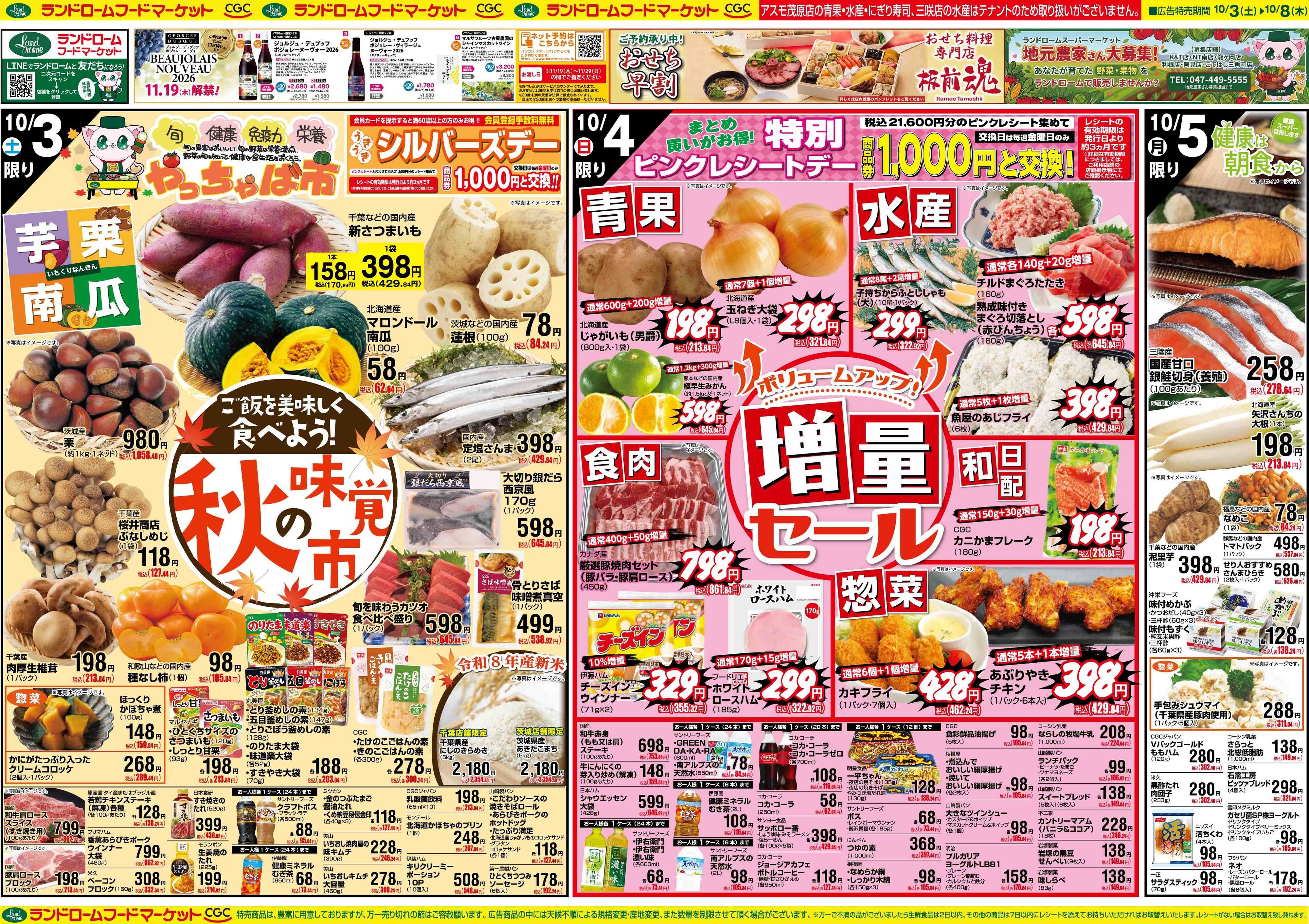 ランドローム 10/3号