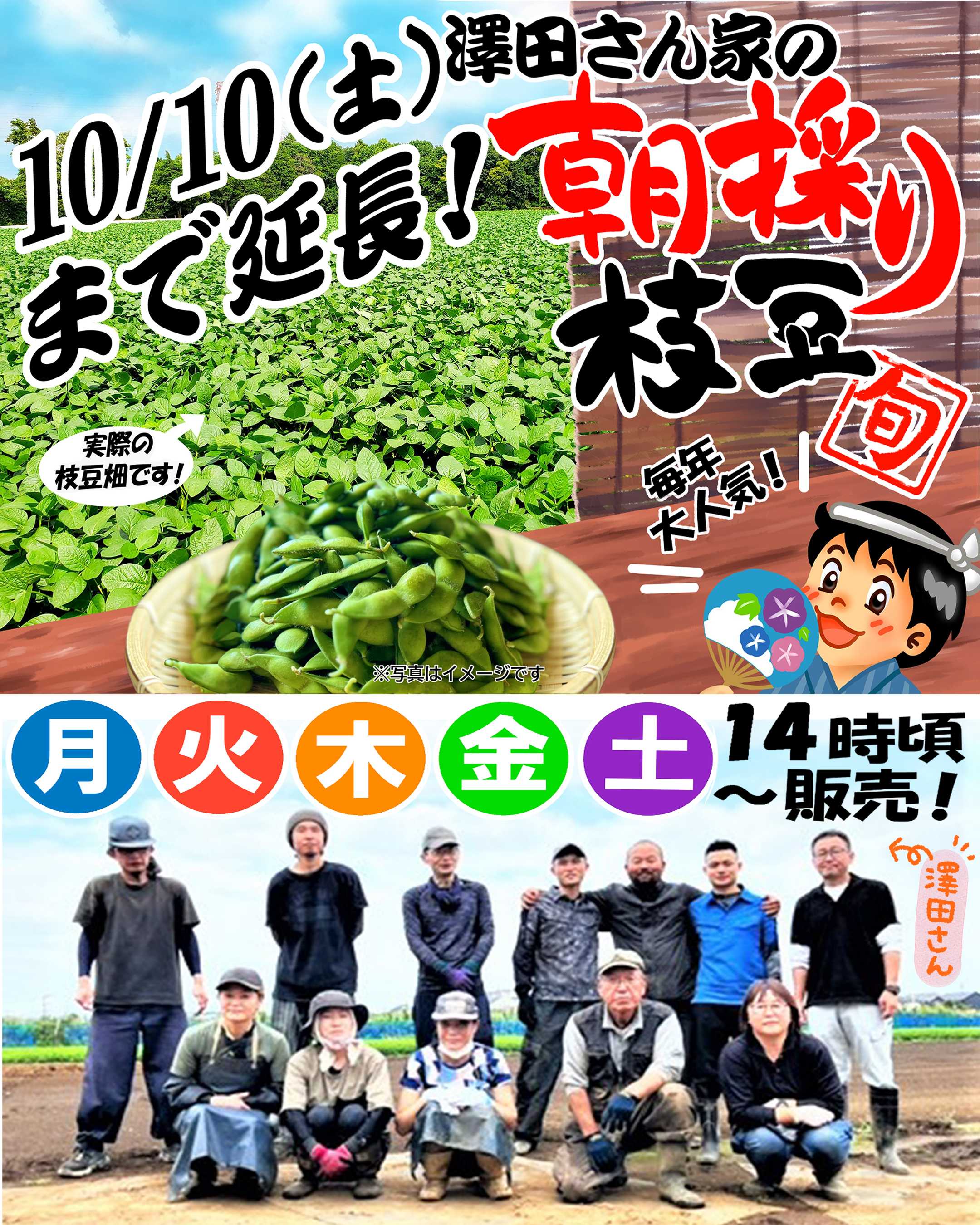 スーパーヤマイチ 澤田さん家の朝採り枝豆、販売期間延長！