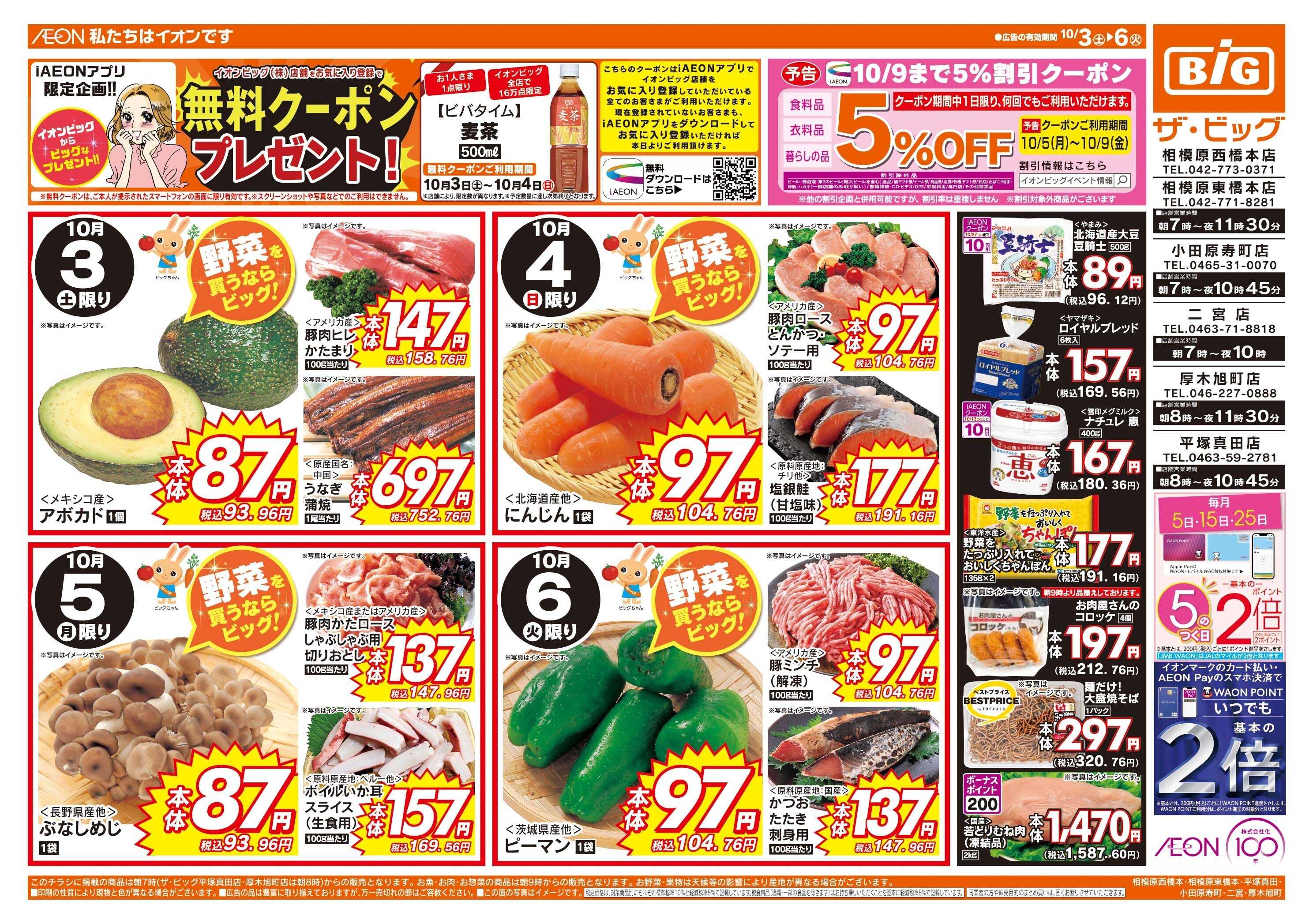 ザ・ビッグ 毎月５のつく日はポイント２倍！