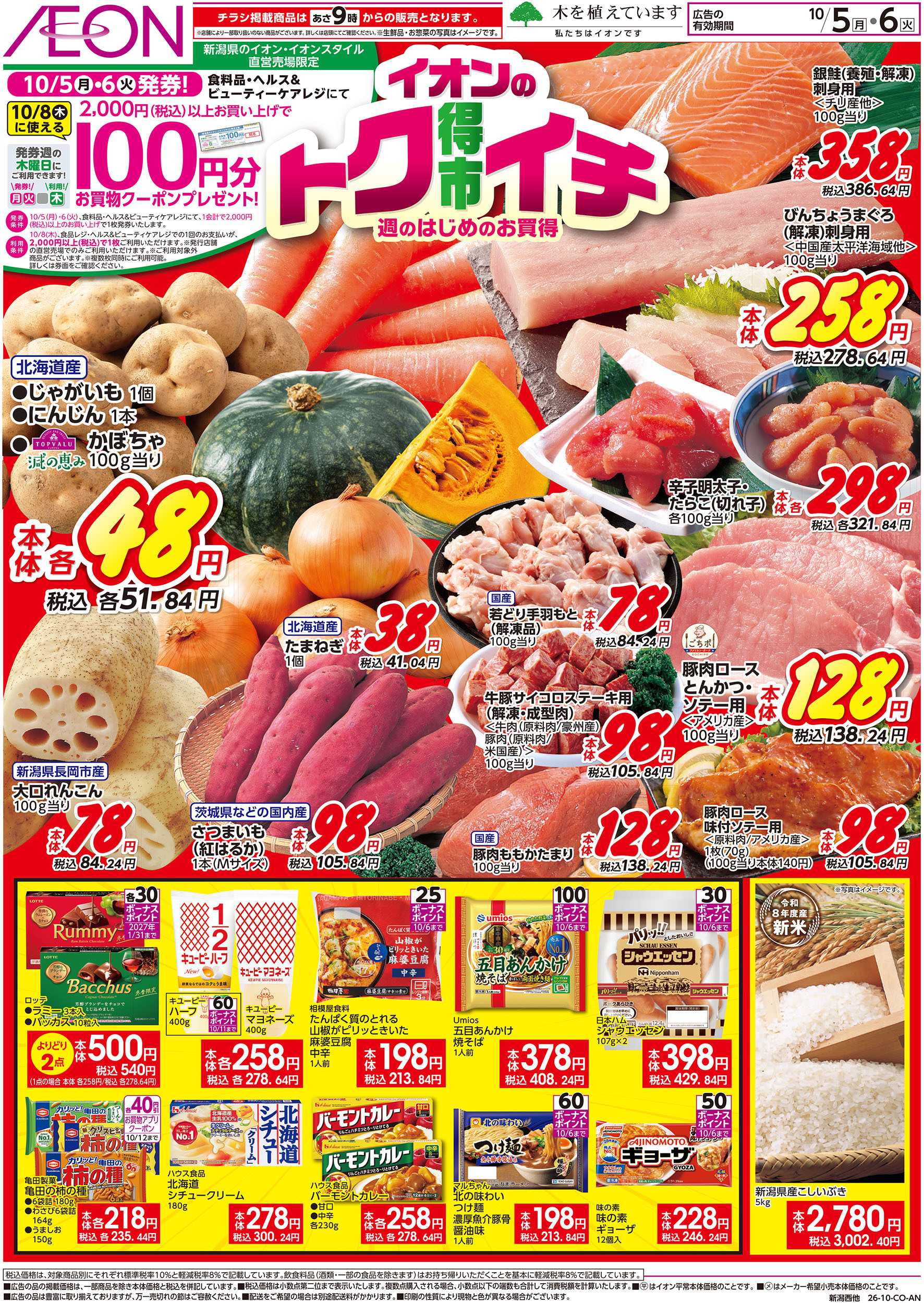 イオン 10/5号　イオンのトクイチ：表面