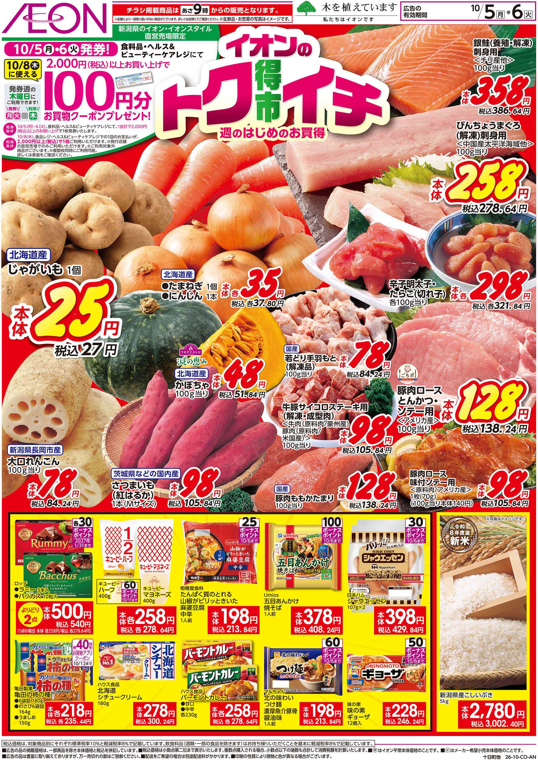 イオン 10/5号　イオンのトクイチ：表面