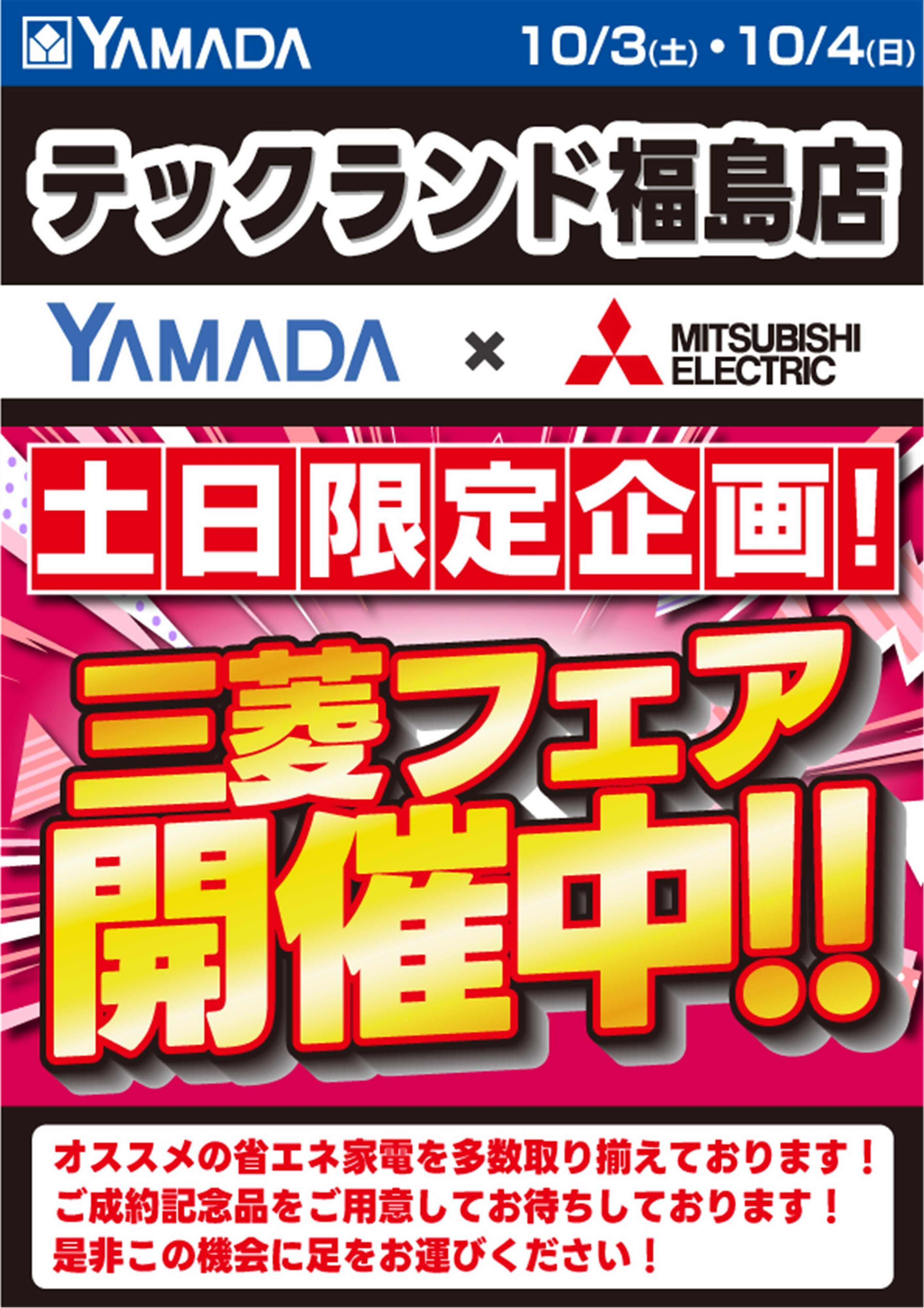 ヤマダデンキ 土日限定企画！