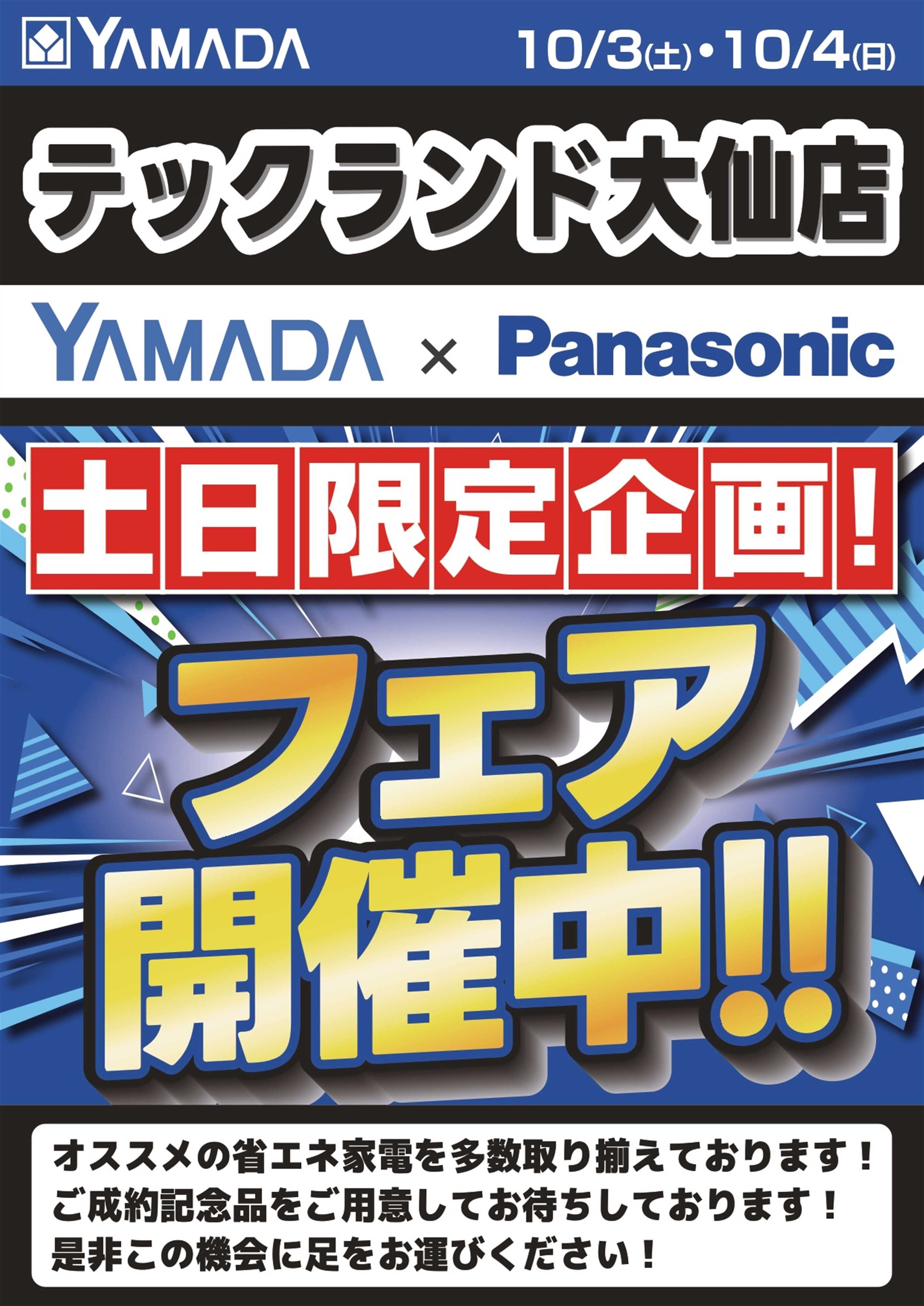 ヤマダデンキ 土日限定企画！