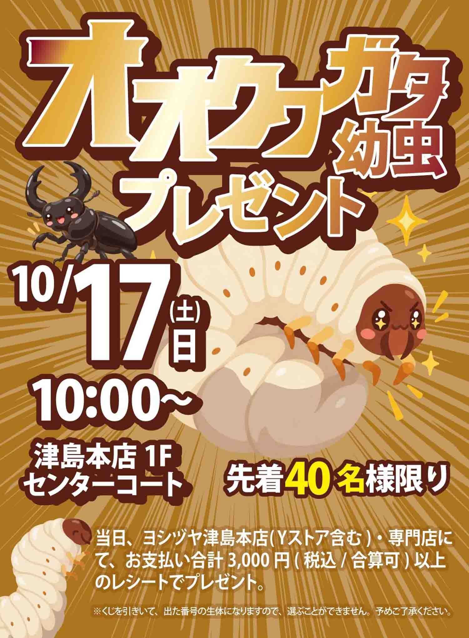 ヨシヅヤ オオクワガタ 幼虫 プレゼント
