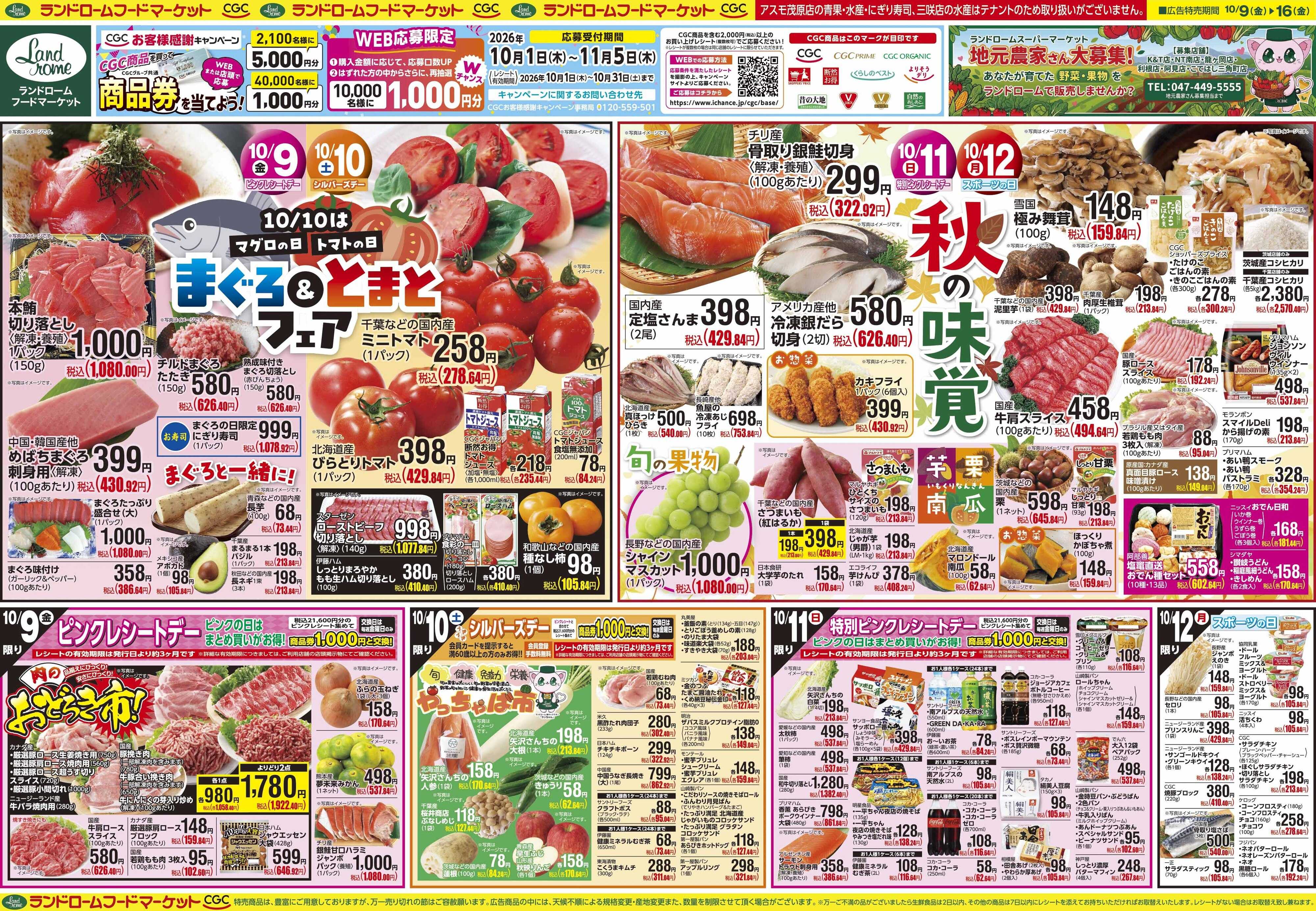 ランドローム 10/9号