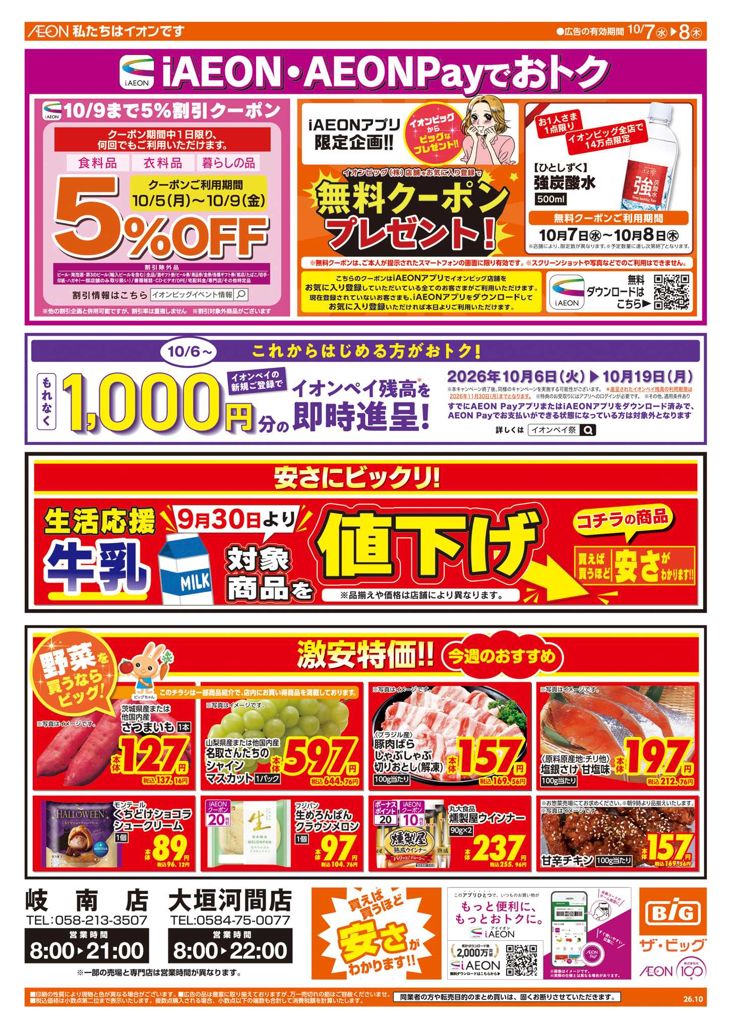 ザ・ビッグ 週中チラシ