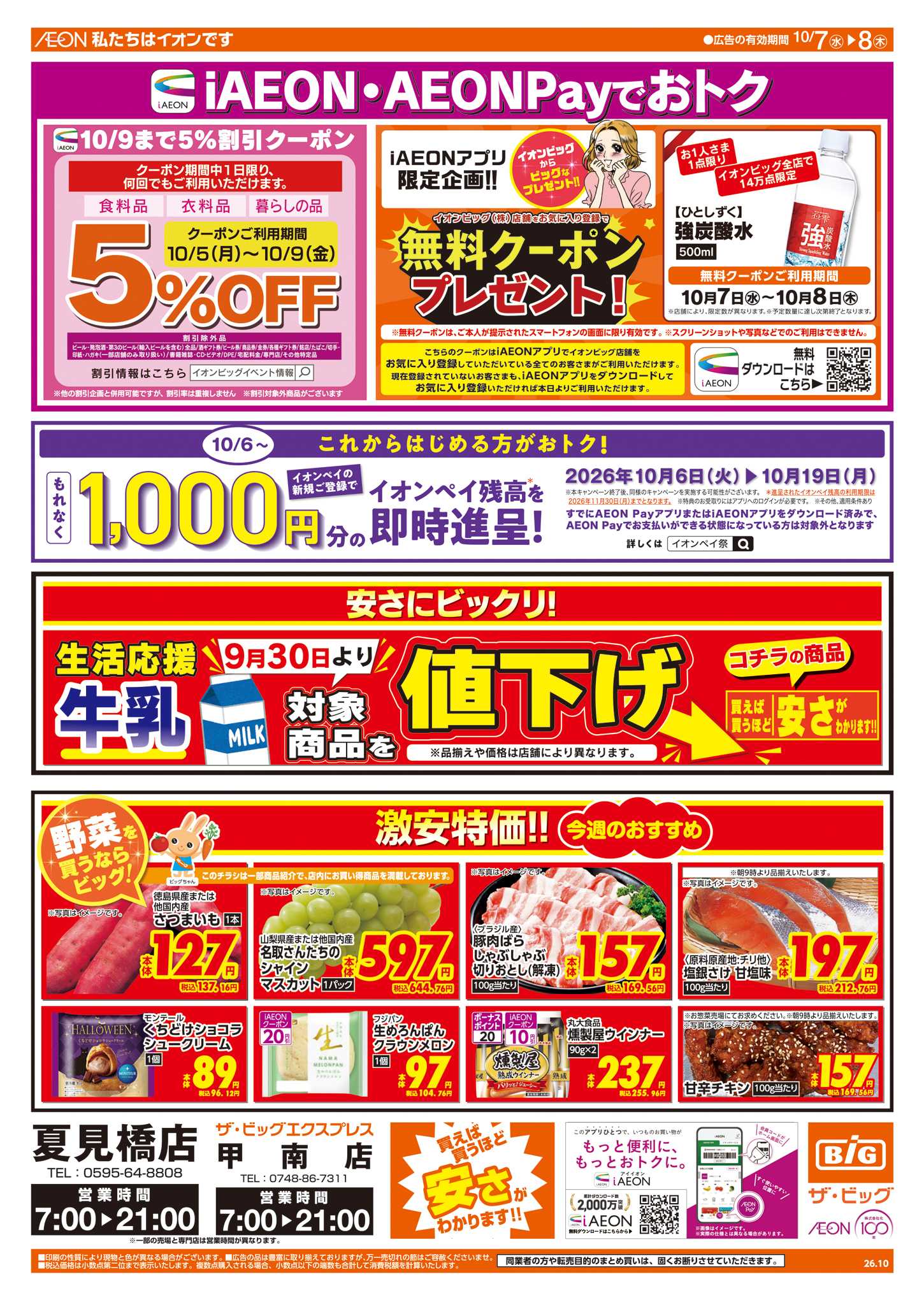 ザ・ビッグ 週中チラシ