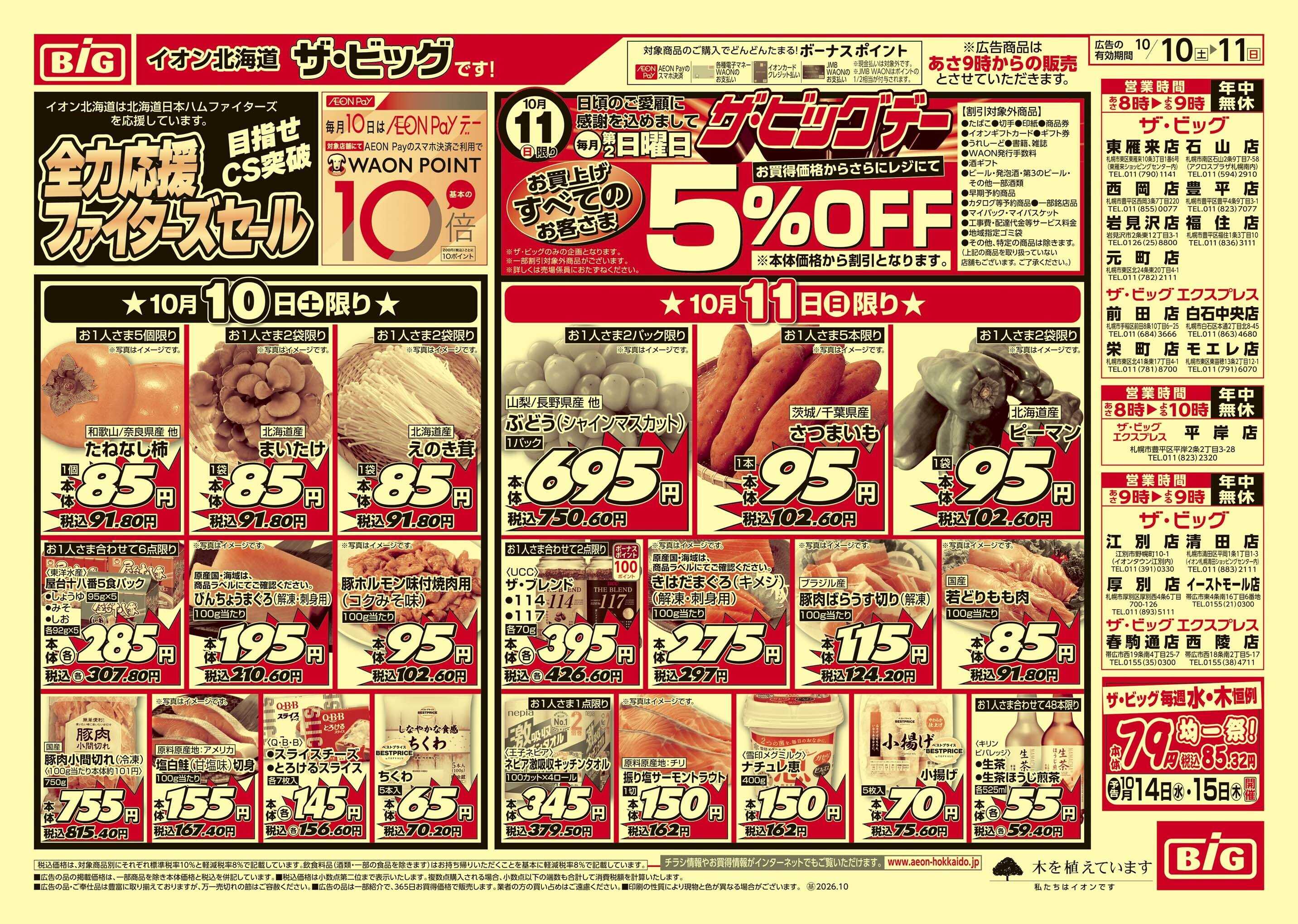 ザ・ビッグ ザ・ビッグデー/買えば買うほど