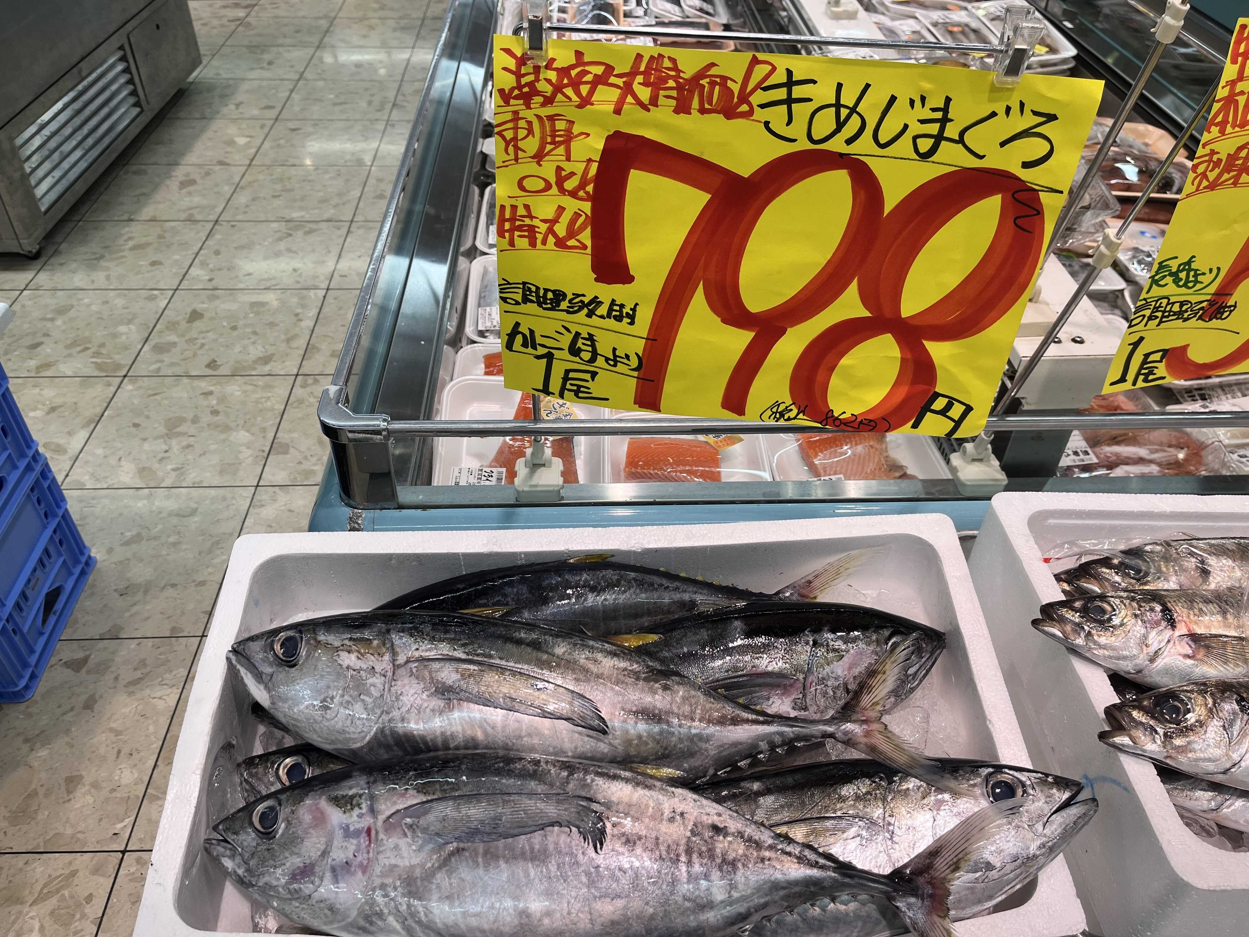 たこ一 