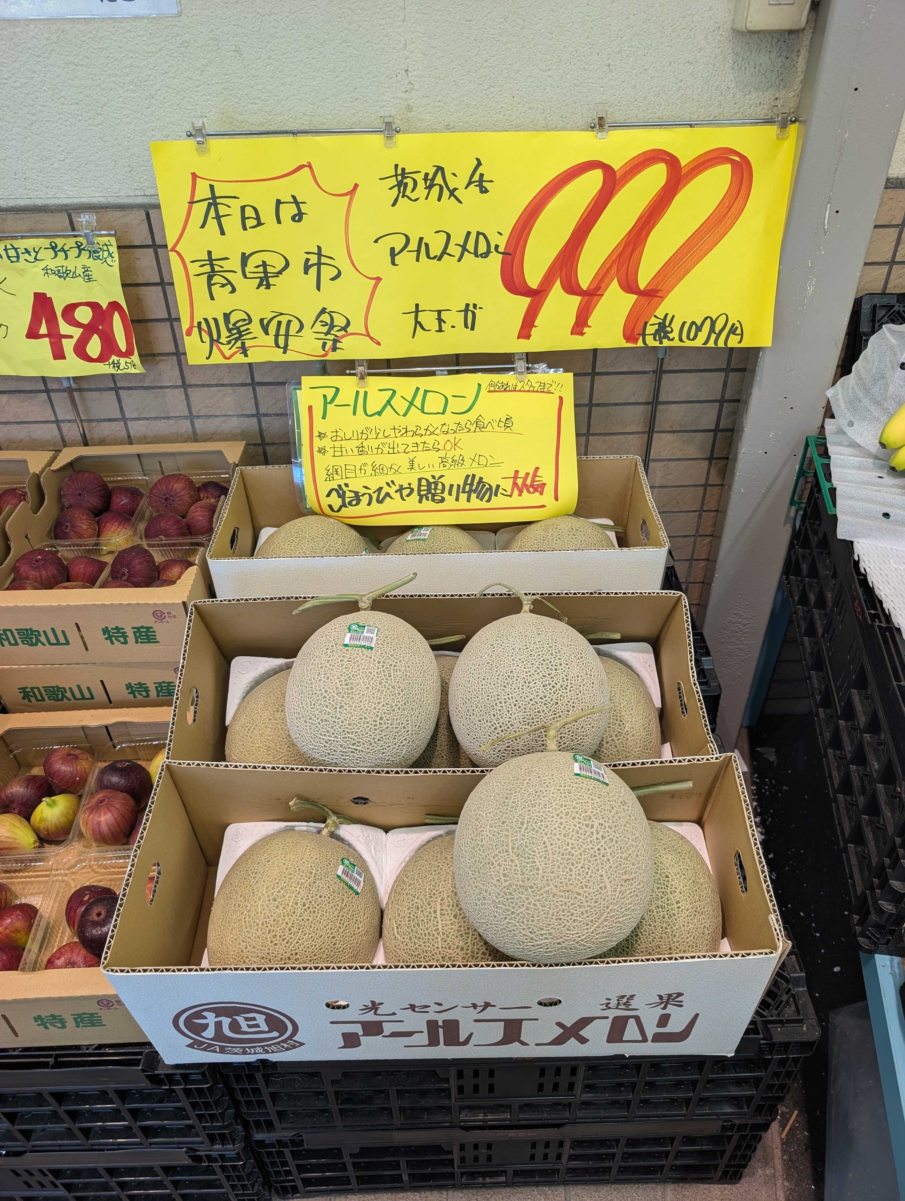 たこ一 