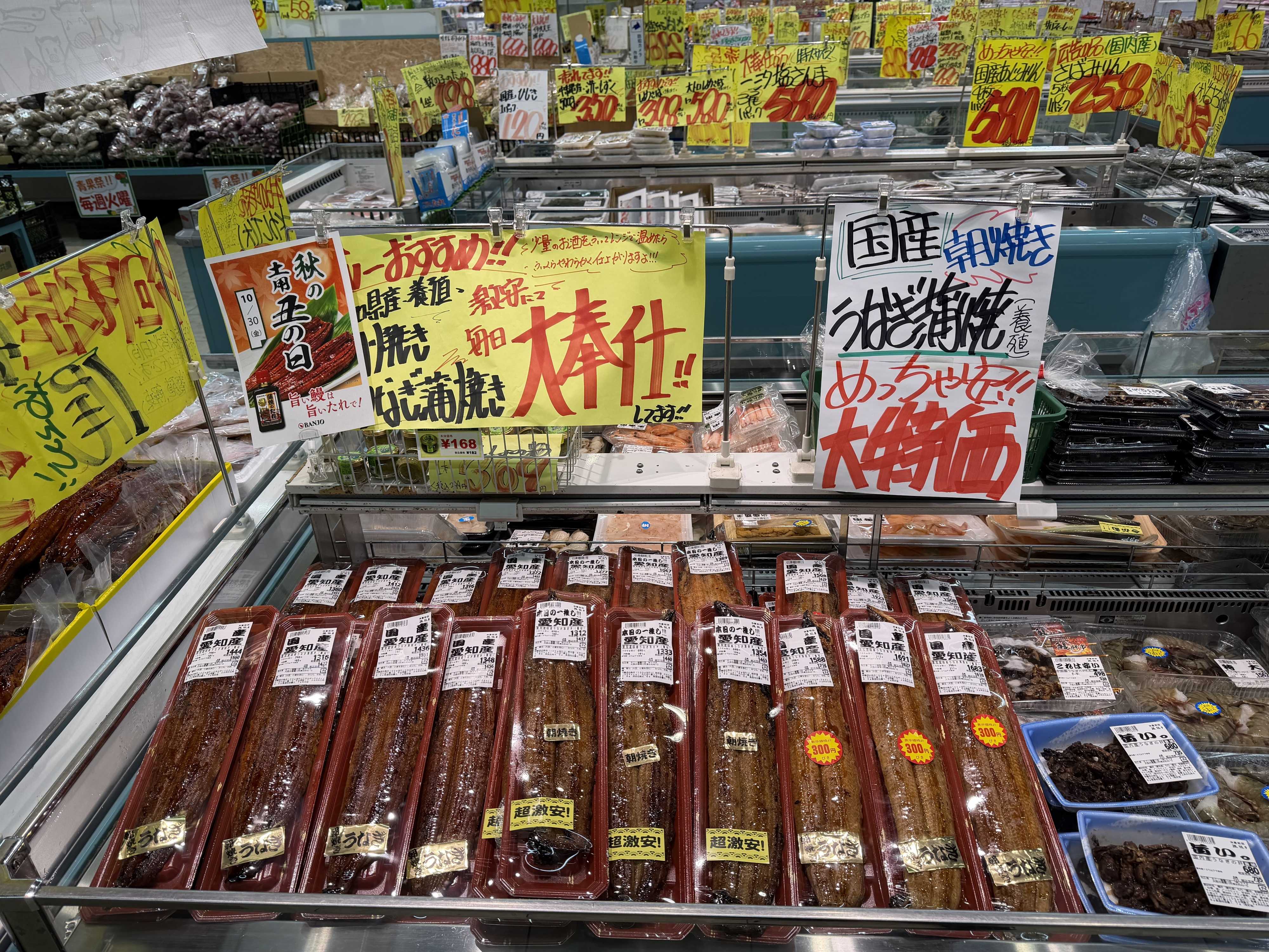 たこ一 