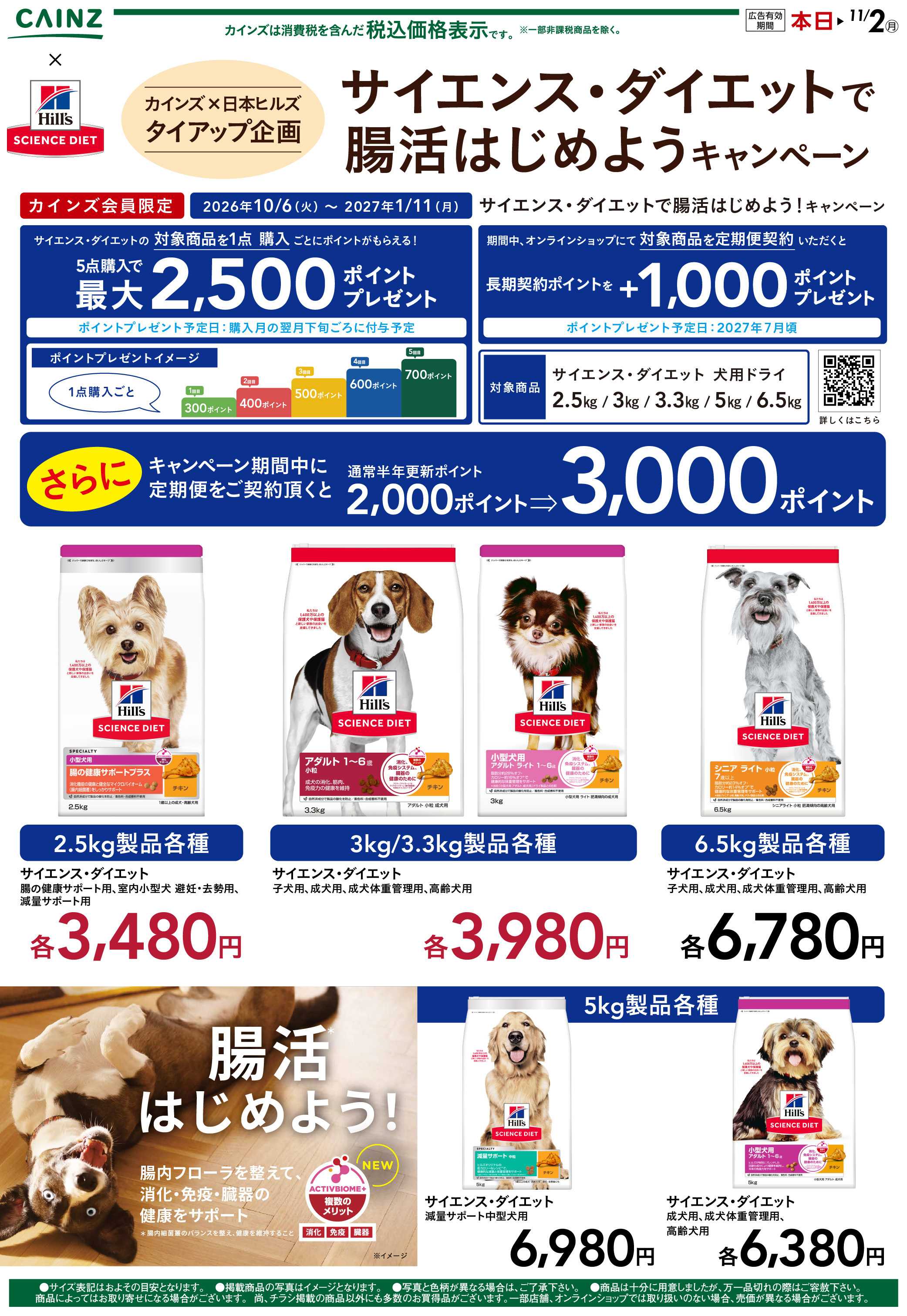 カインズ ヒルズ 10/7号