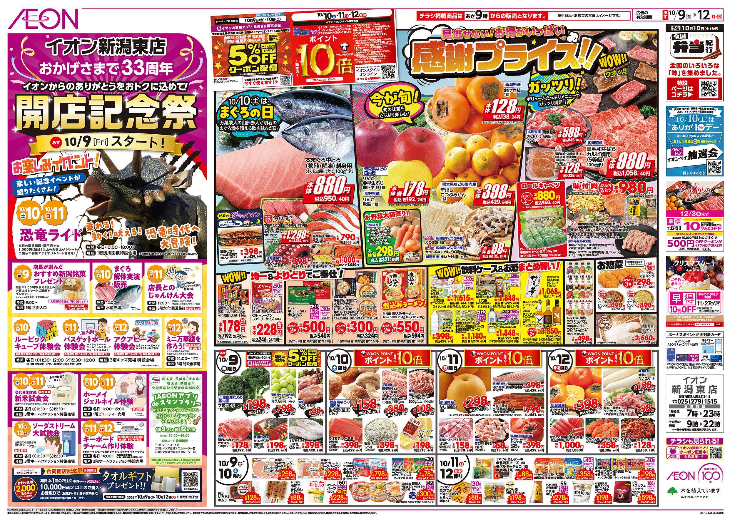 イオン 10/9号　開店記念祭：表面