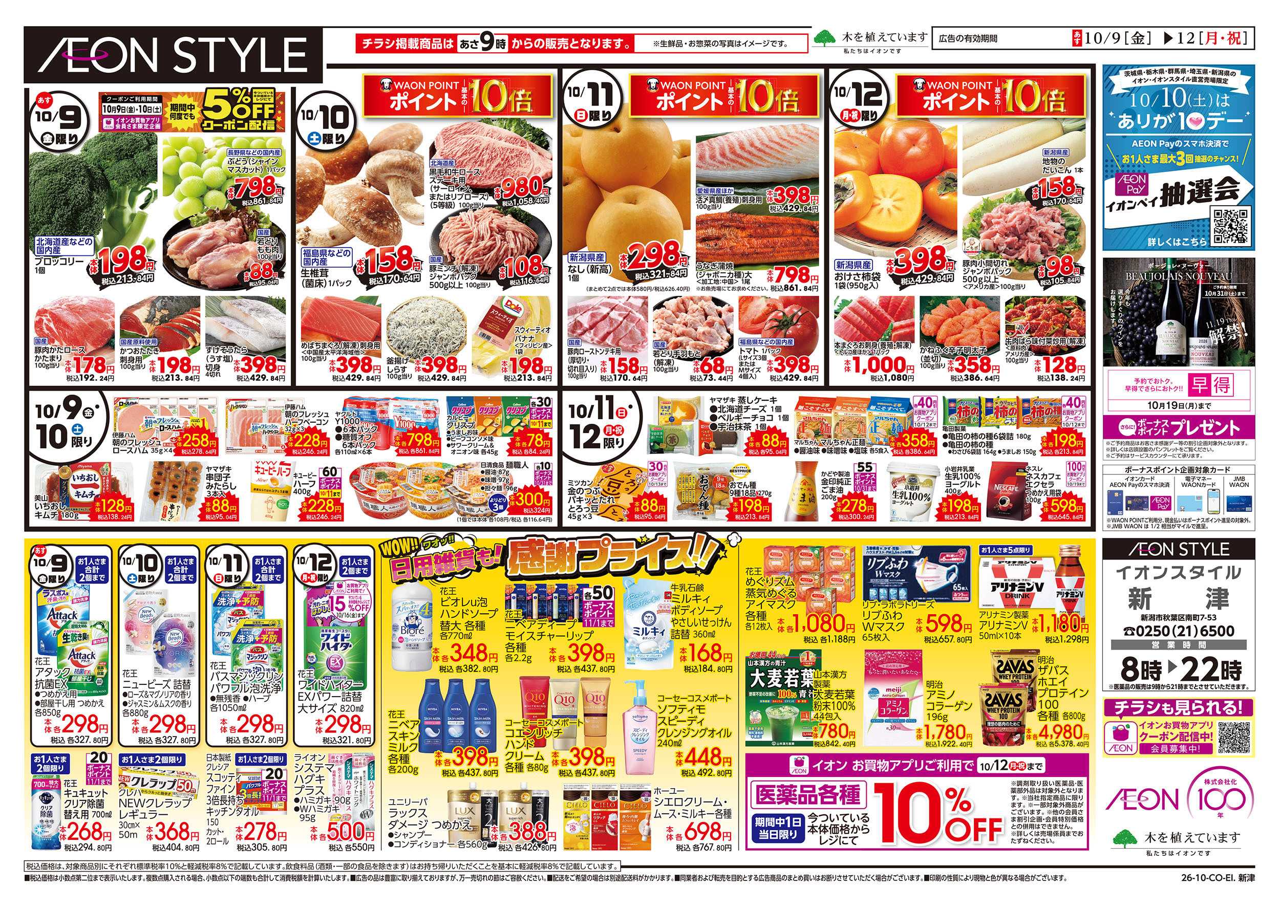 イオンスタイル 10/9号　開店記念祭：裏面
