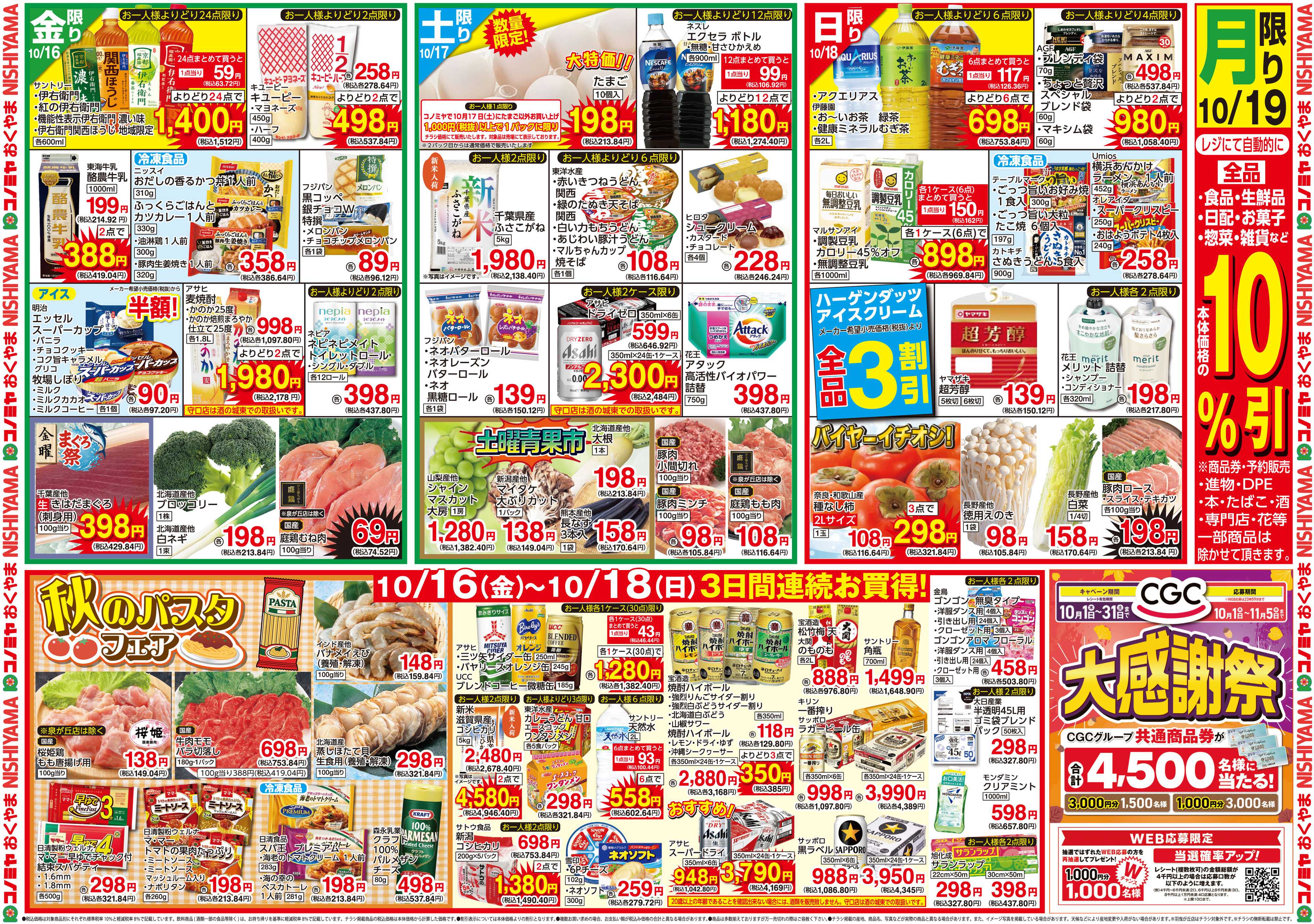 コノミヤ 1013号レギュラーチラシ