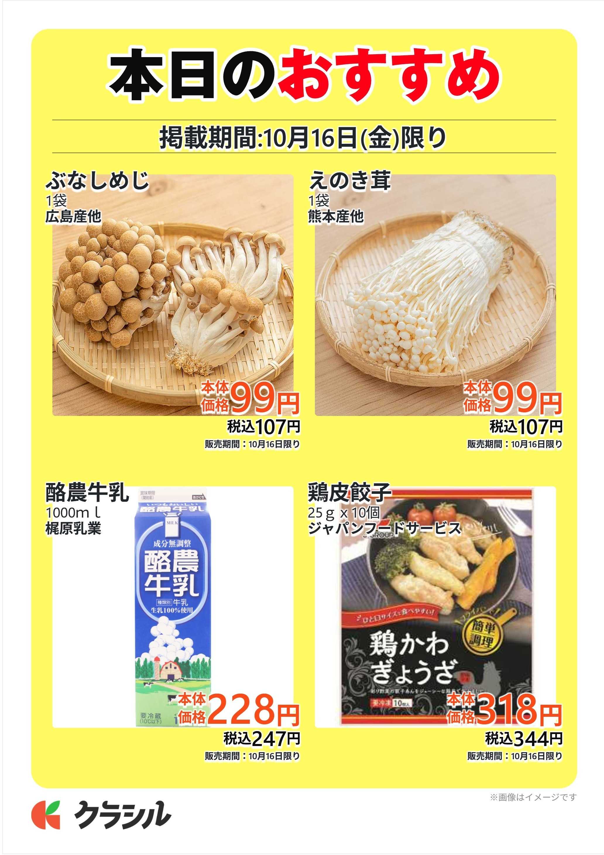 プロマート 本日のおすすめ