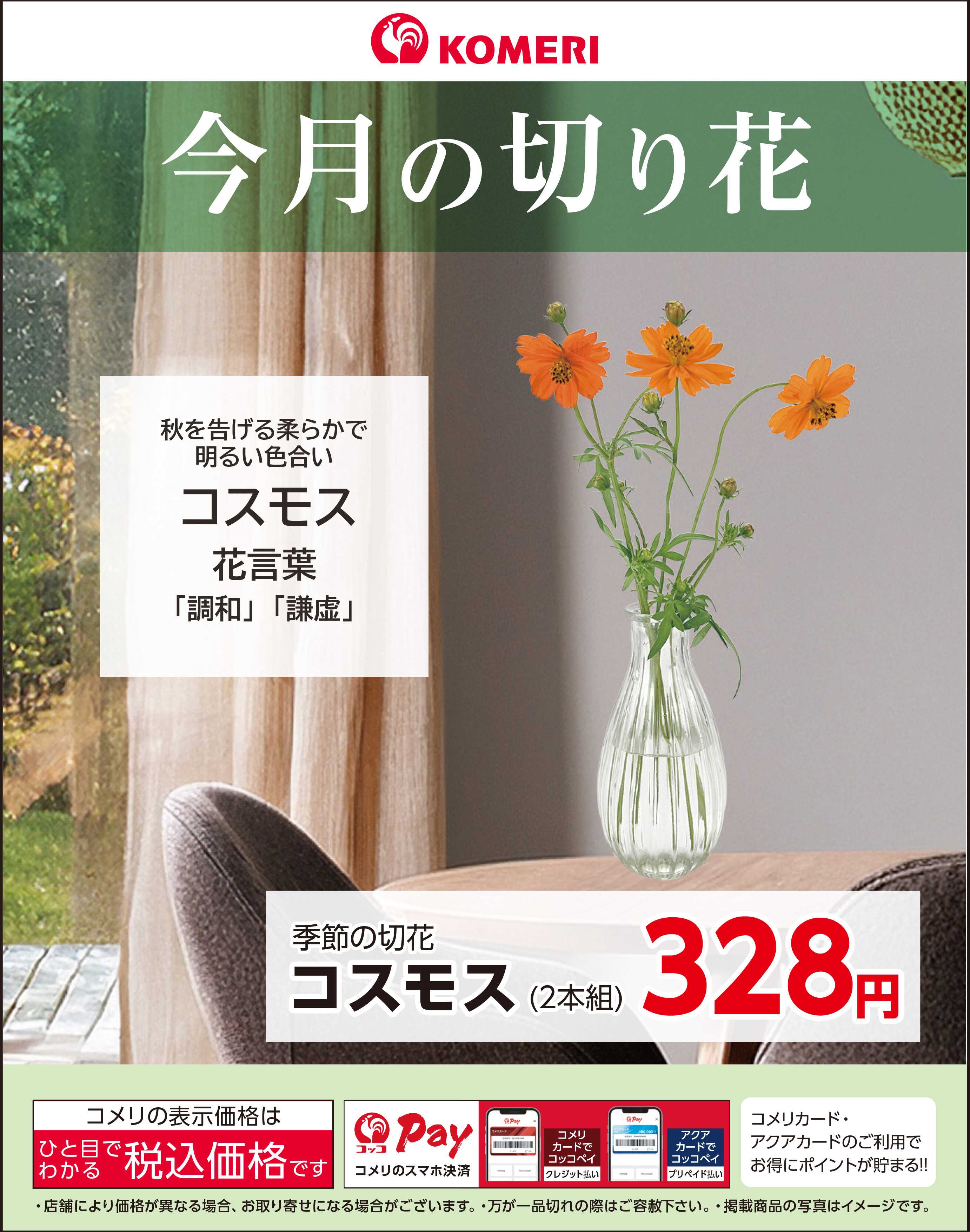 コメリハード＆グリーン 今月の切り花