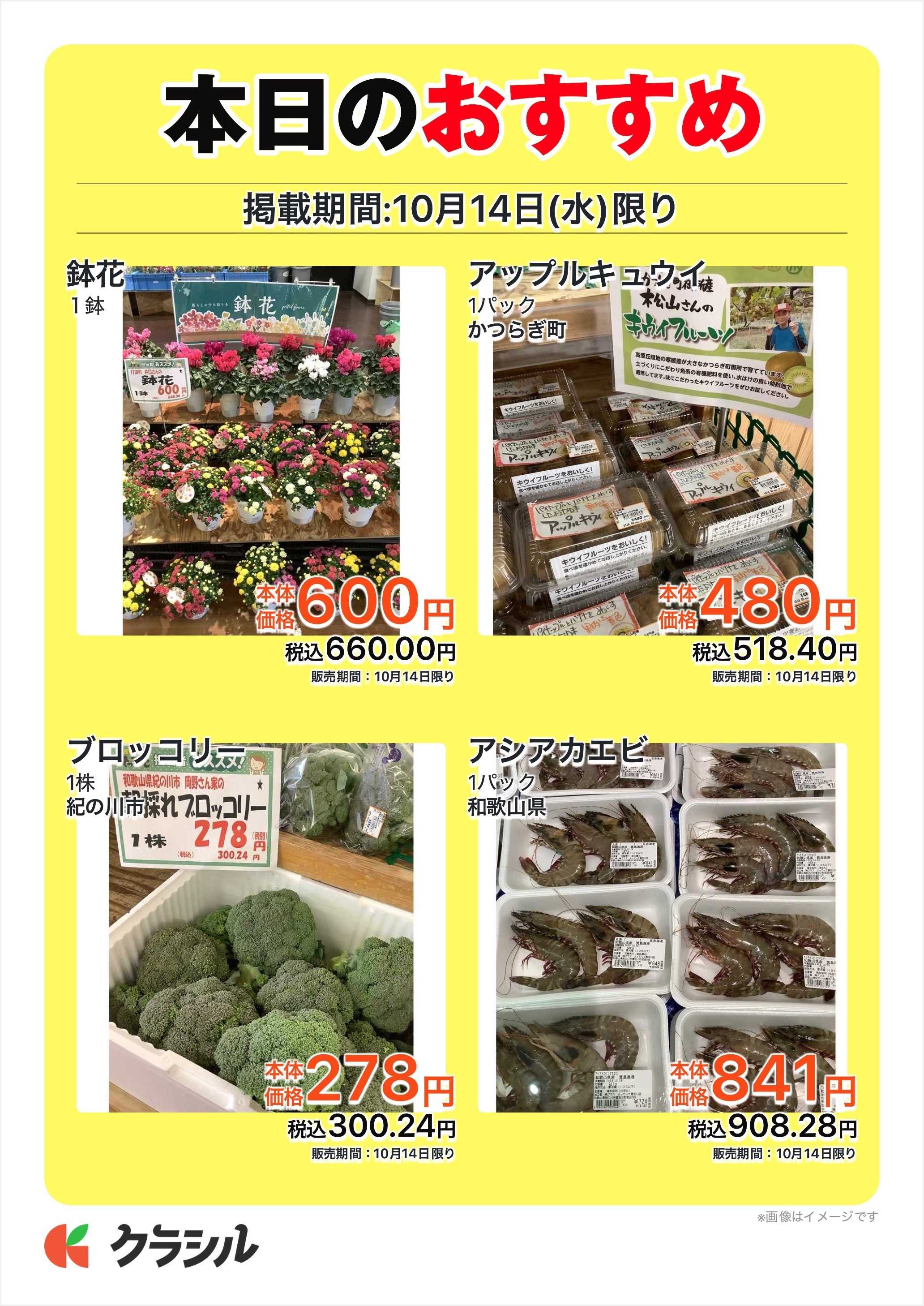 産直市場よってって 本日のおすすめ