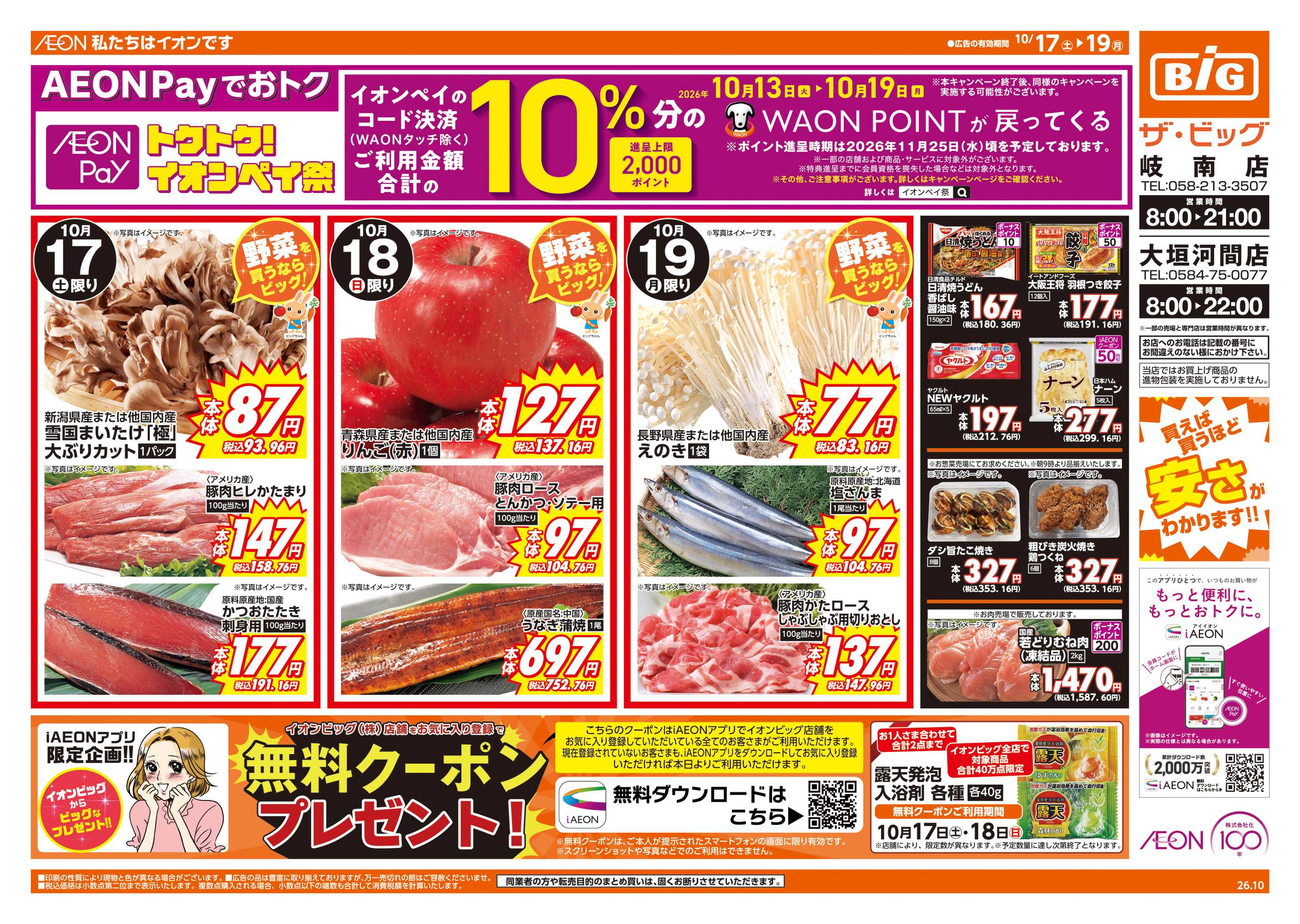 ザ・ビッグ 週末チラシ