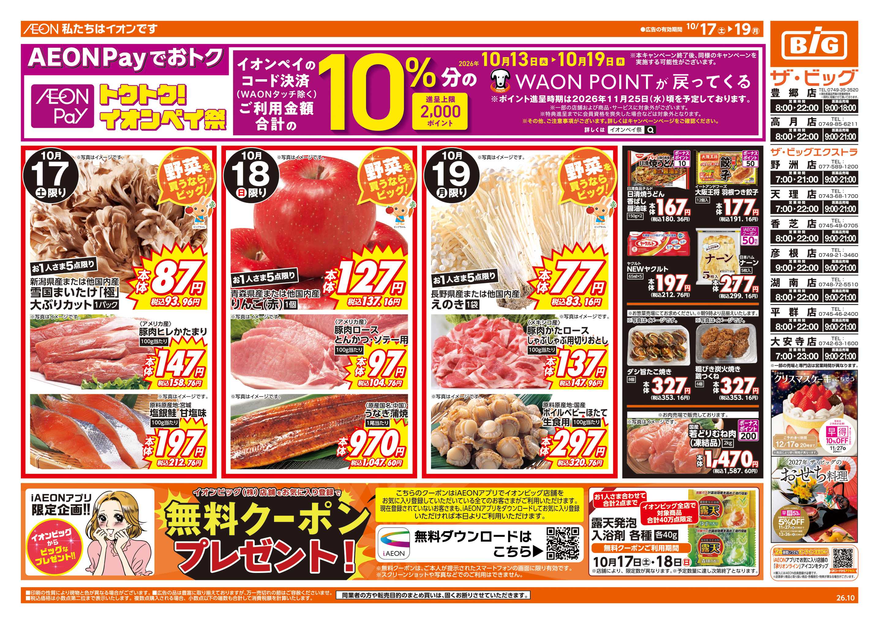 ザ・ビッグ 週末チラシ
