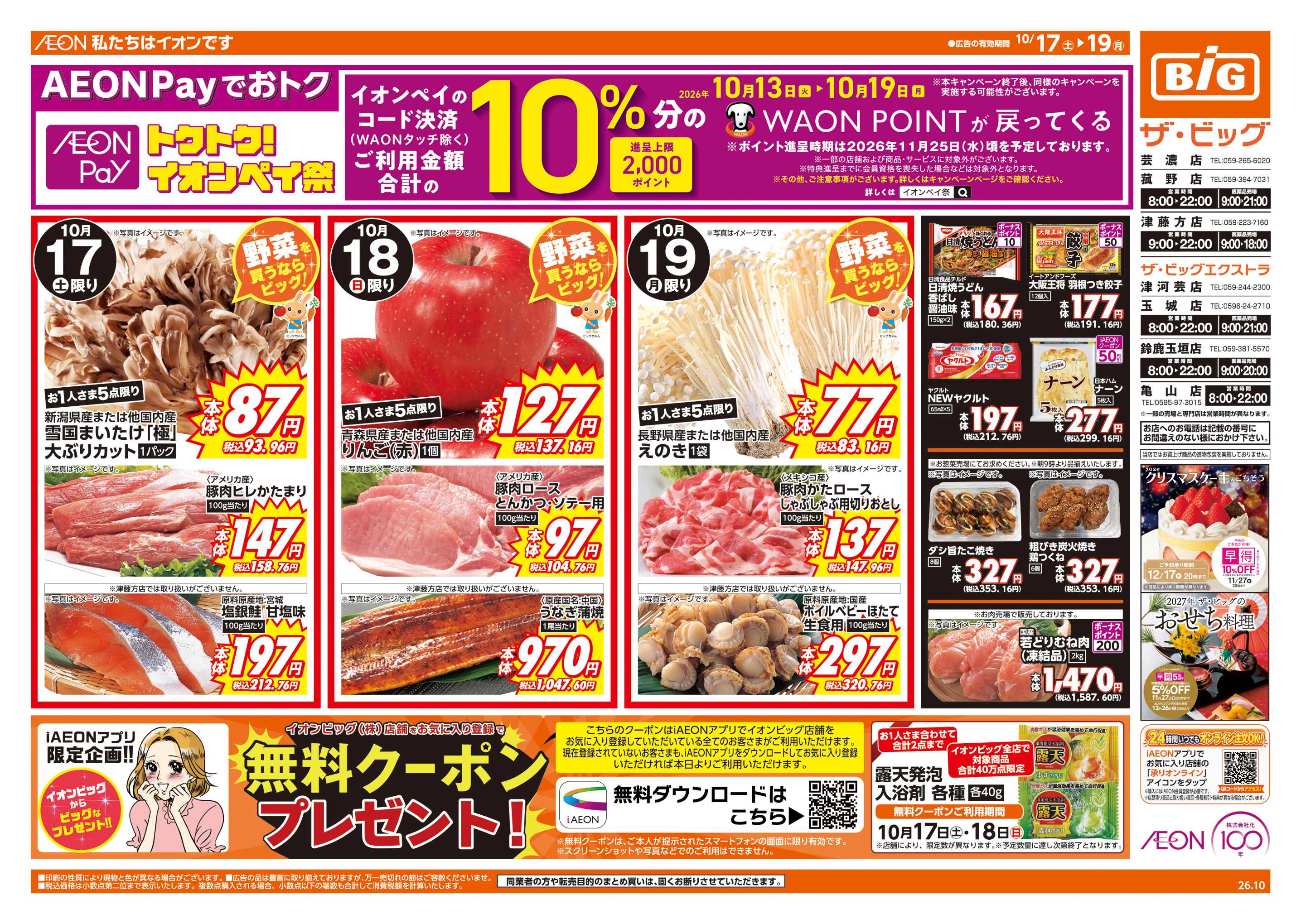 ザ・ビッグ 週末チラシ