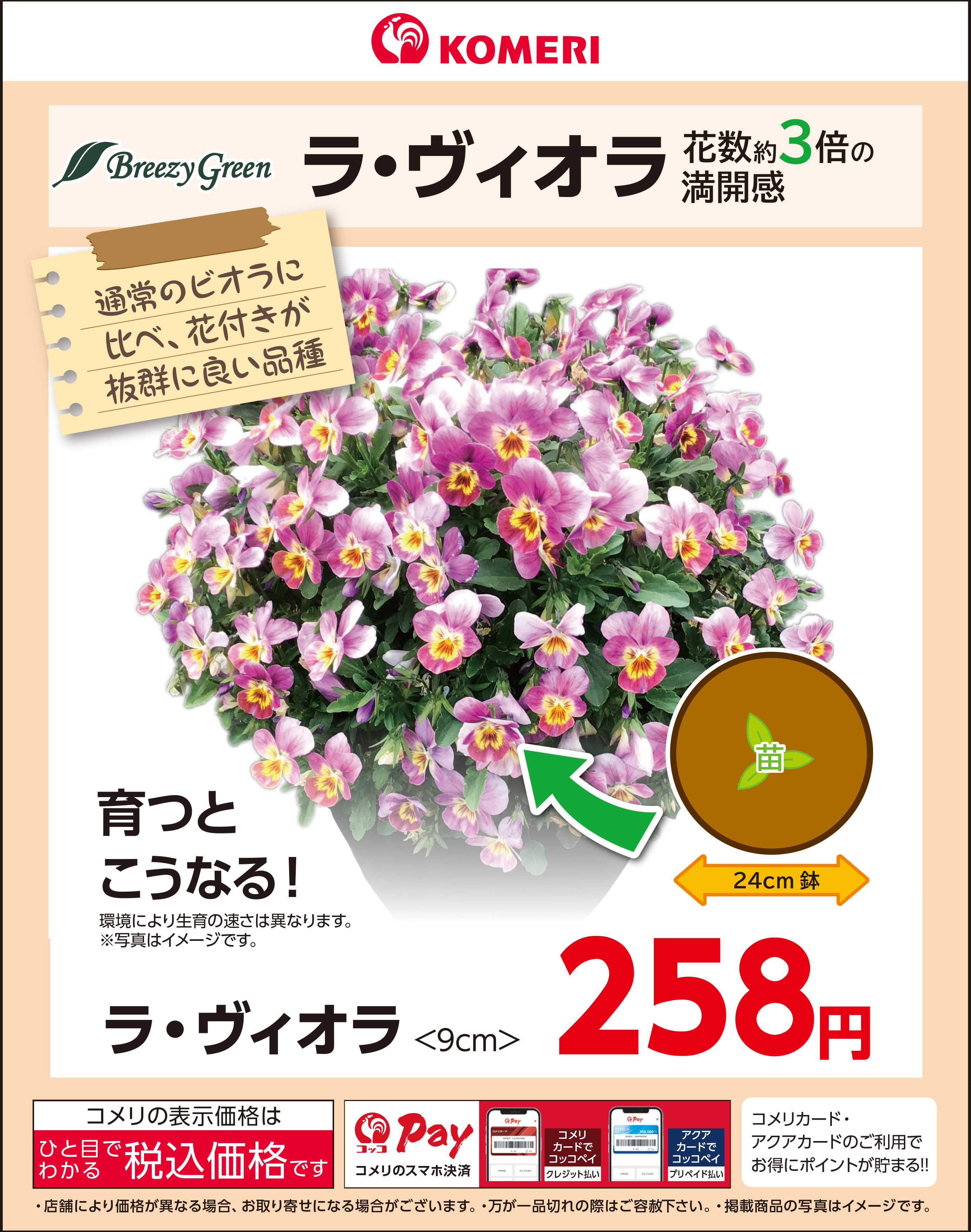 コメリハード＆グリーン ラ・ヴィオラ ～花数約3倍の満開感～