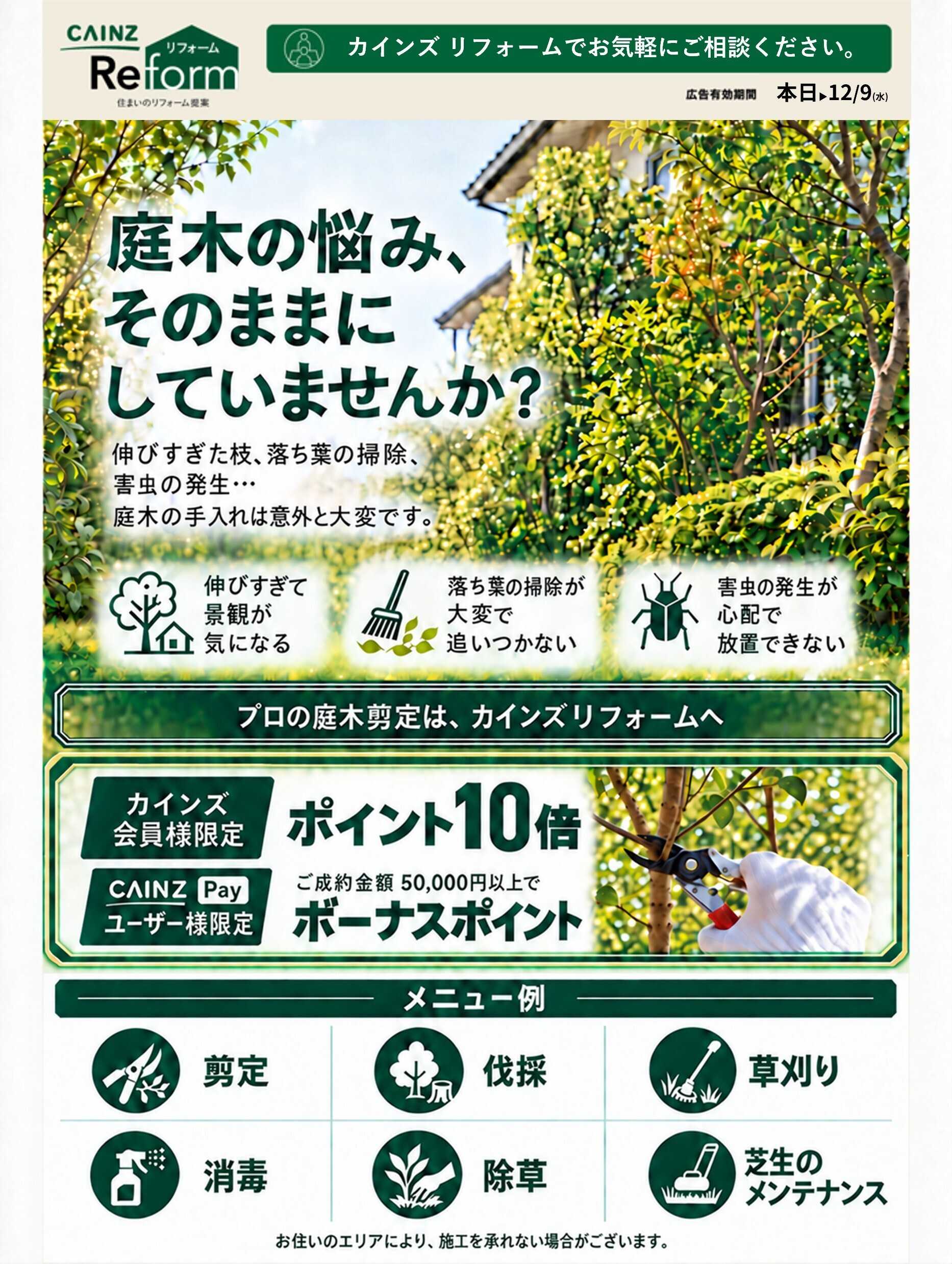 カインズ 庭木剪定ポイント10倍キャンペーン10/16号