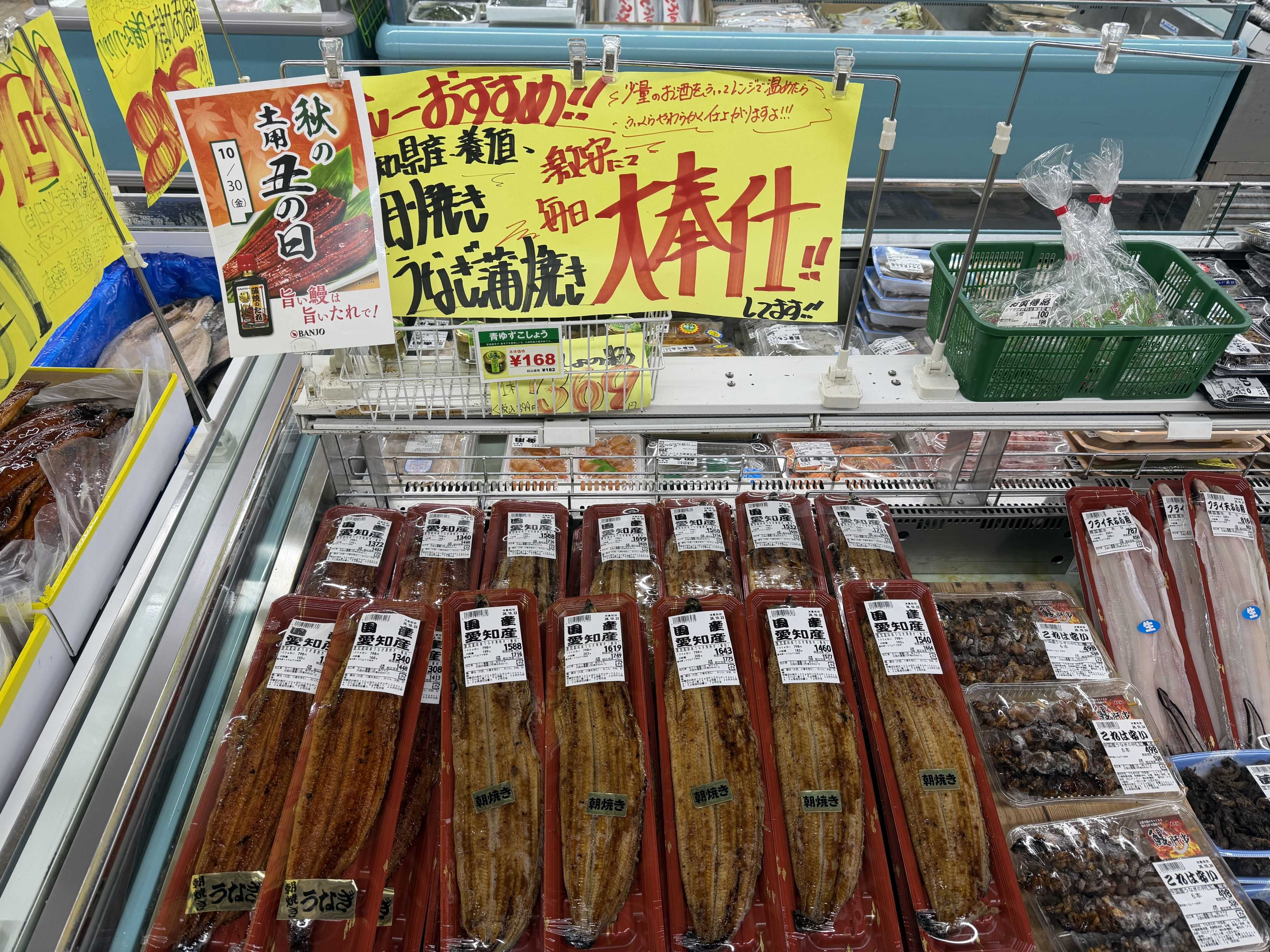 たこ一 