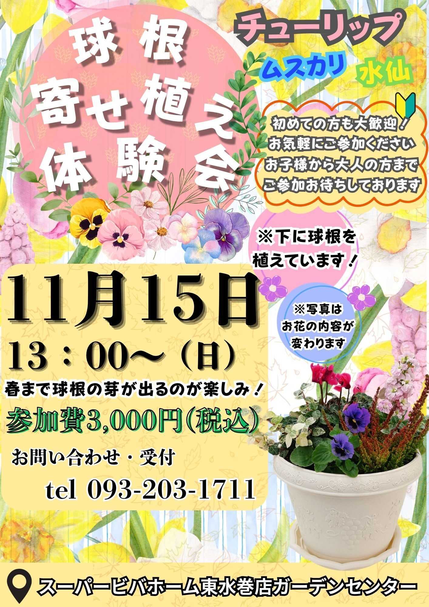 スーパービバホーム 球根寄せ植え体験会のご案内！