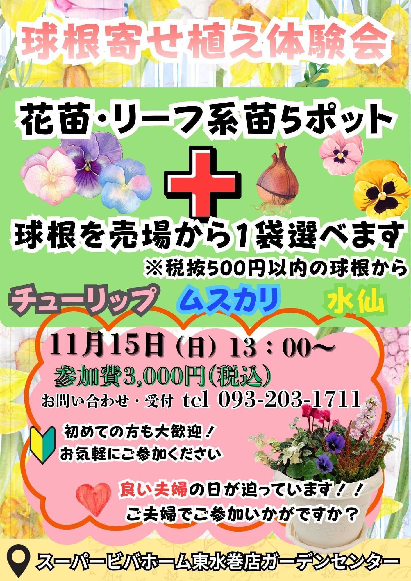スーパービバホーム 球根寄せ植え体験会のご案内！