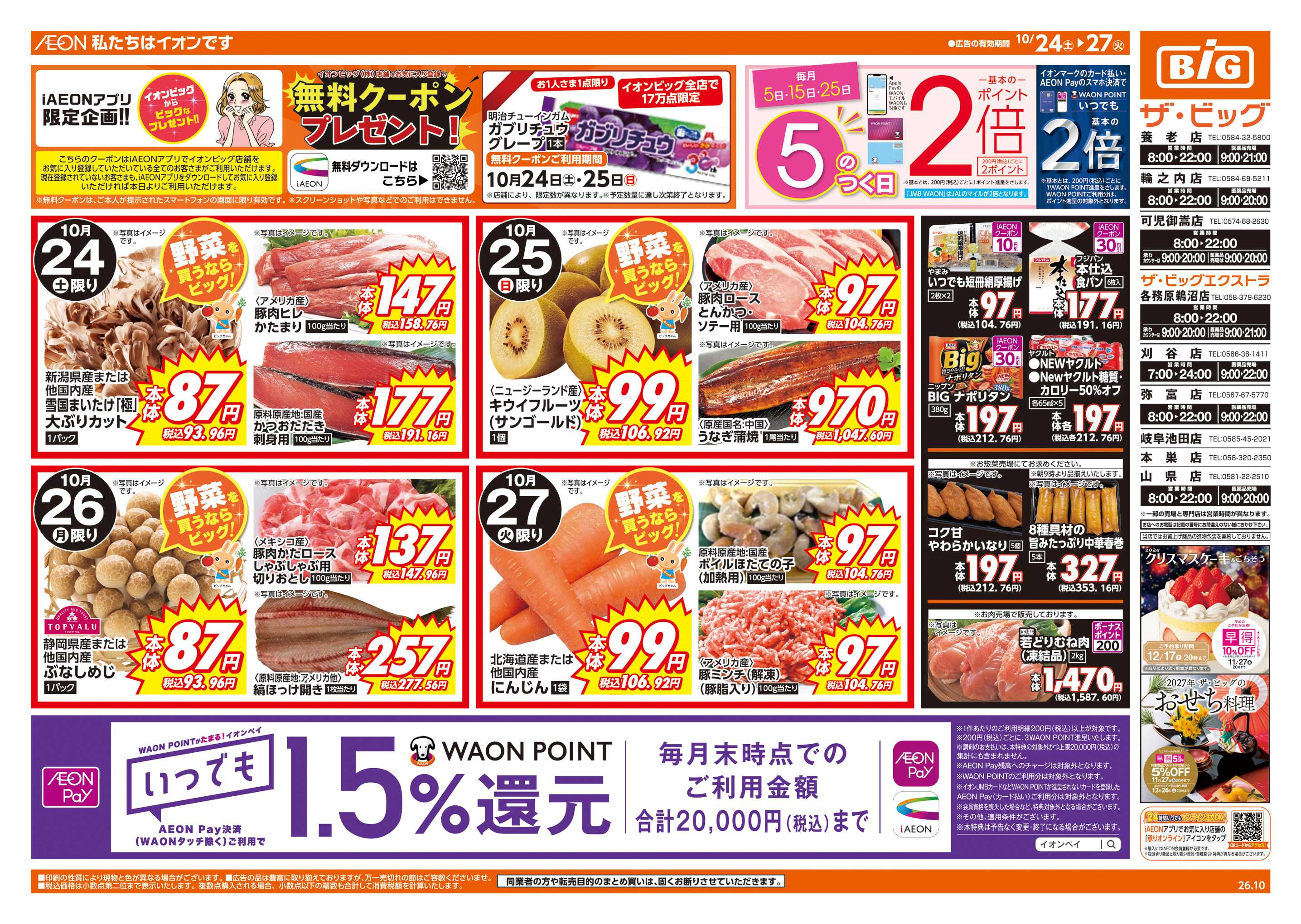 ザ・ビッグ 週末チラシ