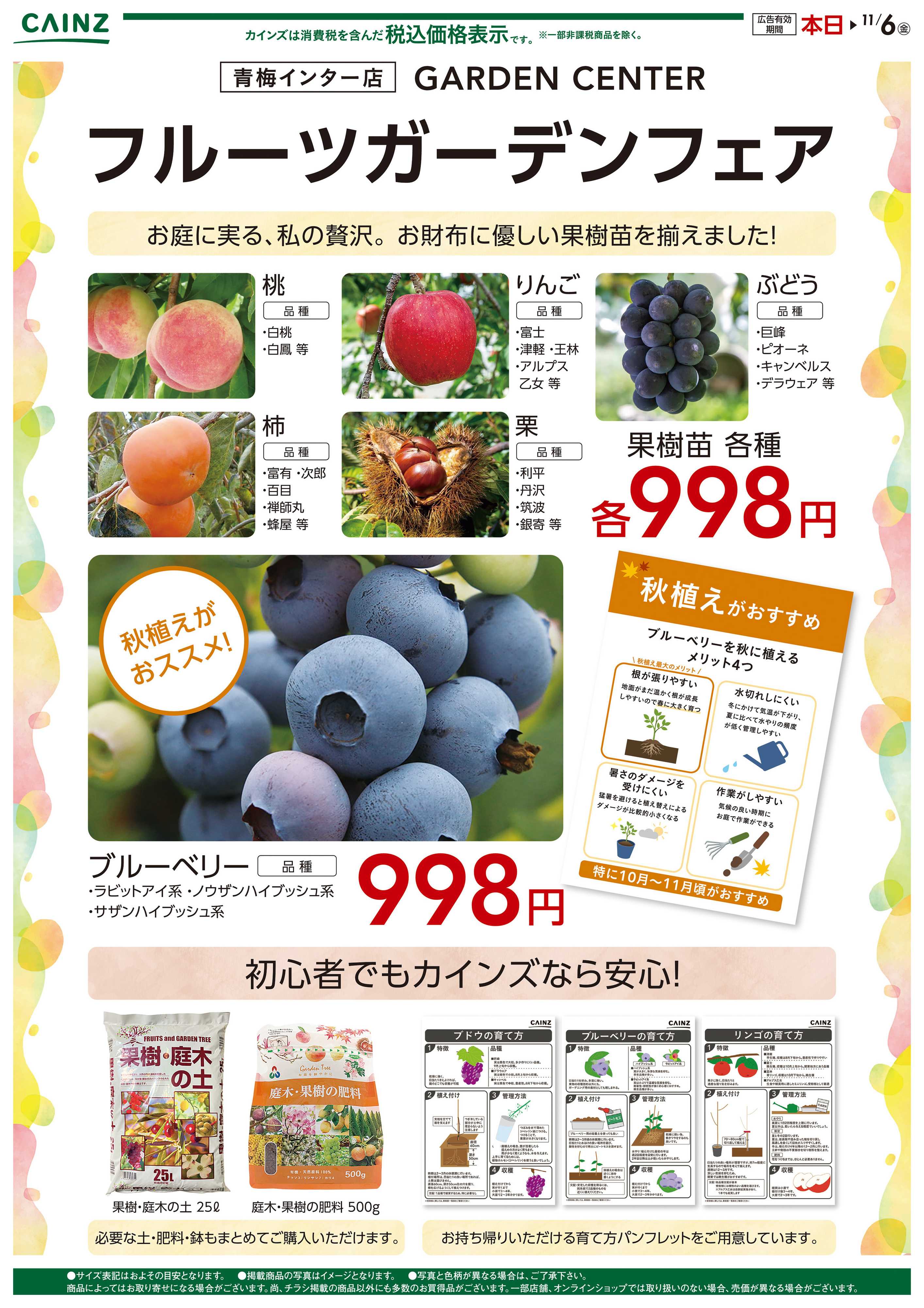 カインズ フルーツガーデンフェア10/24号