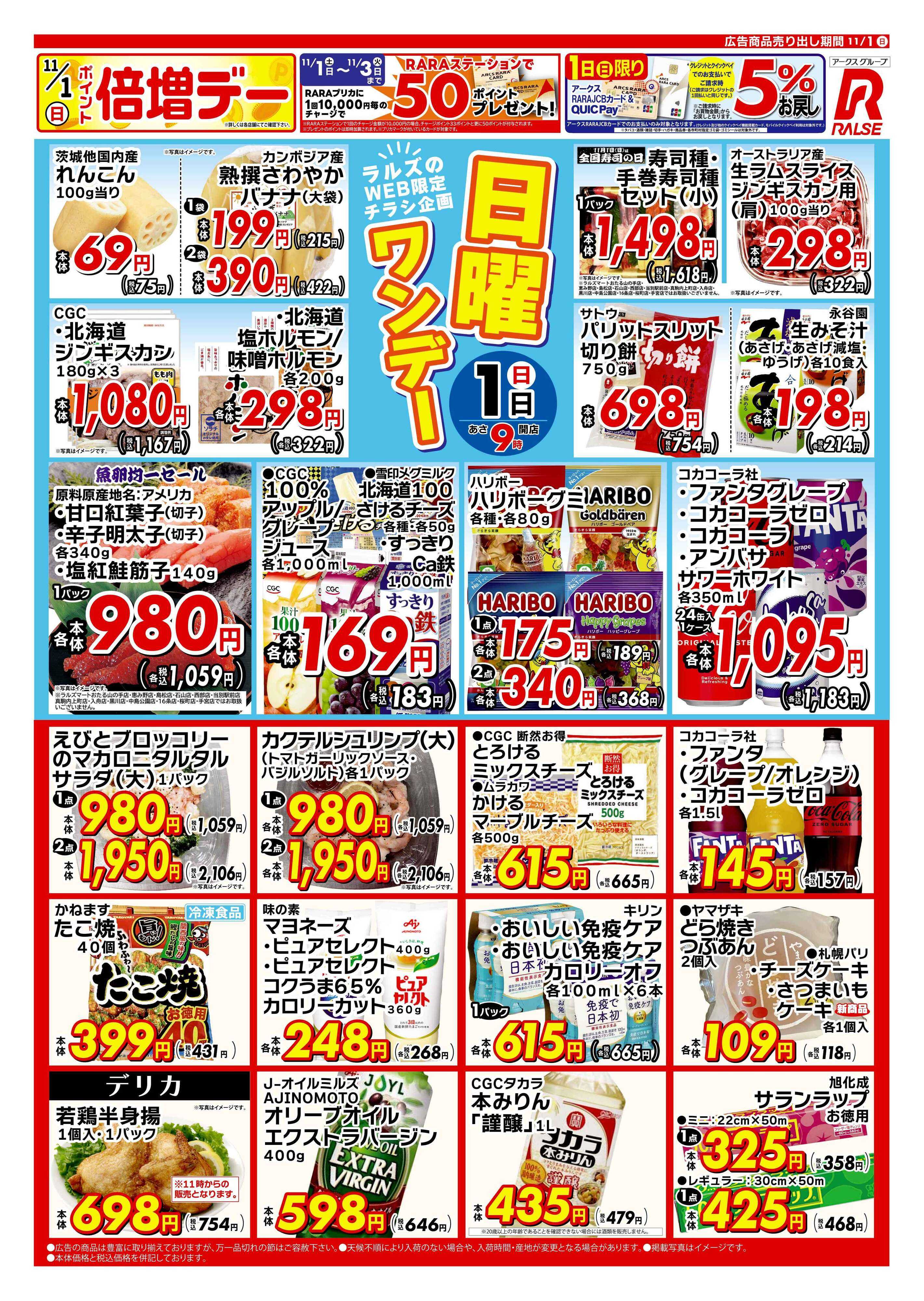 ホームストア 1101 Web日曜ワンデー 