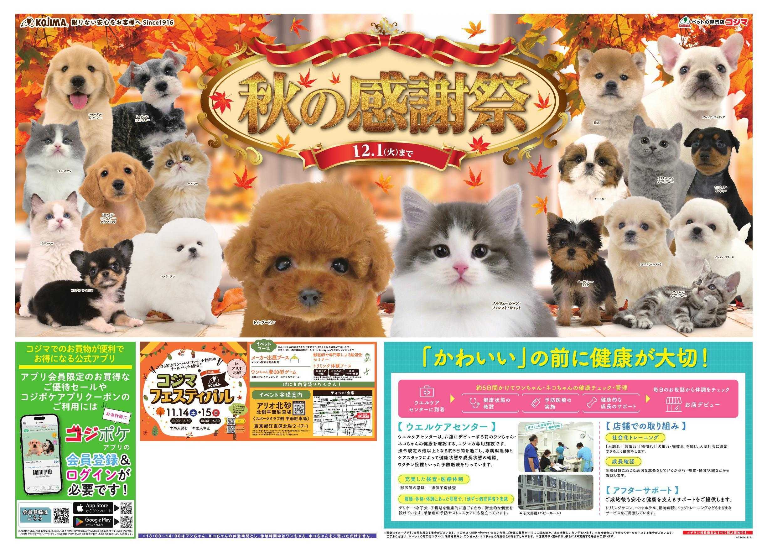 ペットの専門店コジマ BrackFridayコジポケアプリ会員ご優待セール